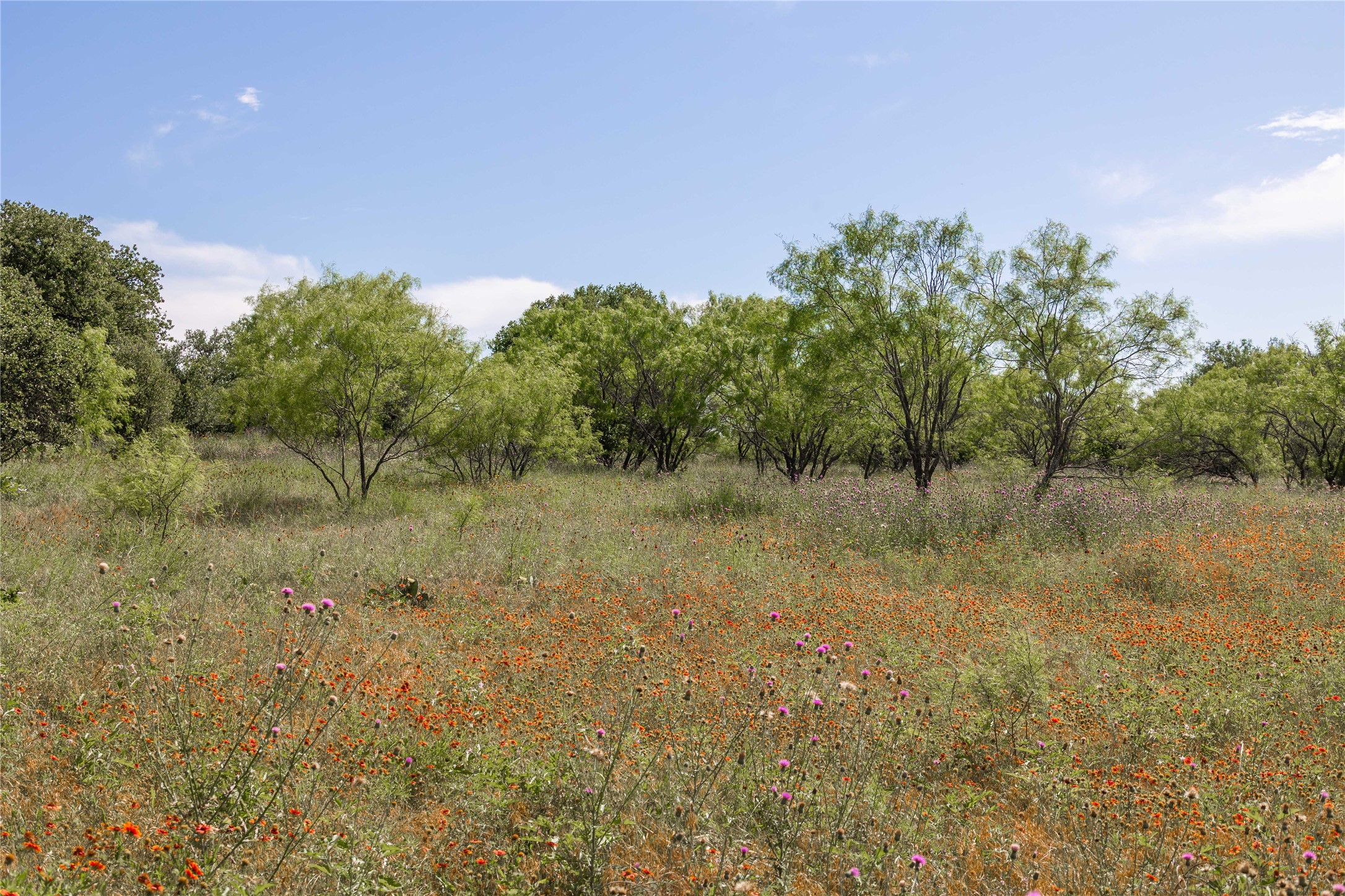 92.195 Acres TBD County Road 434, De Leon, TX, 76446