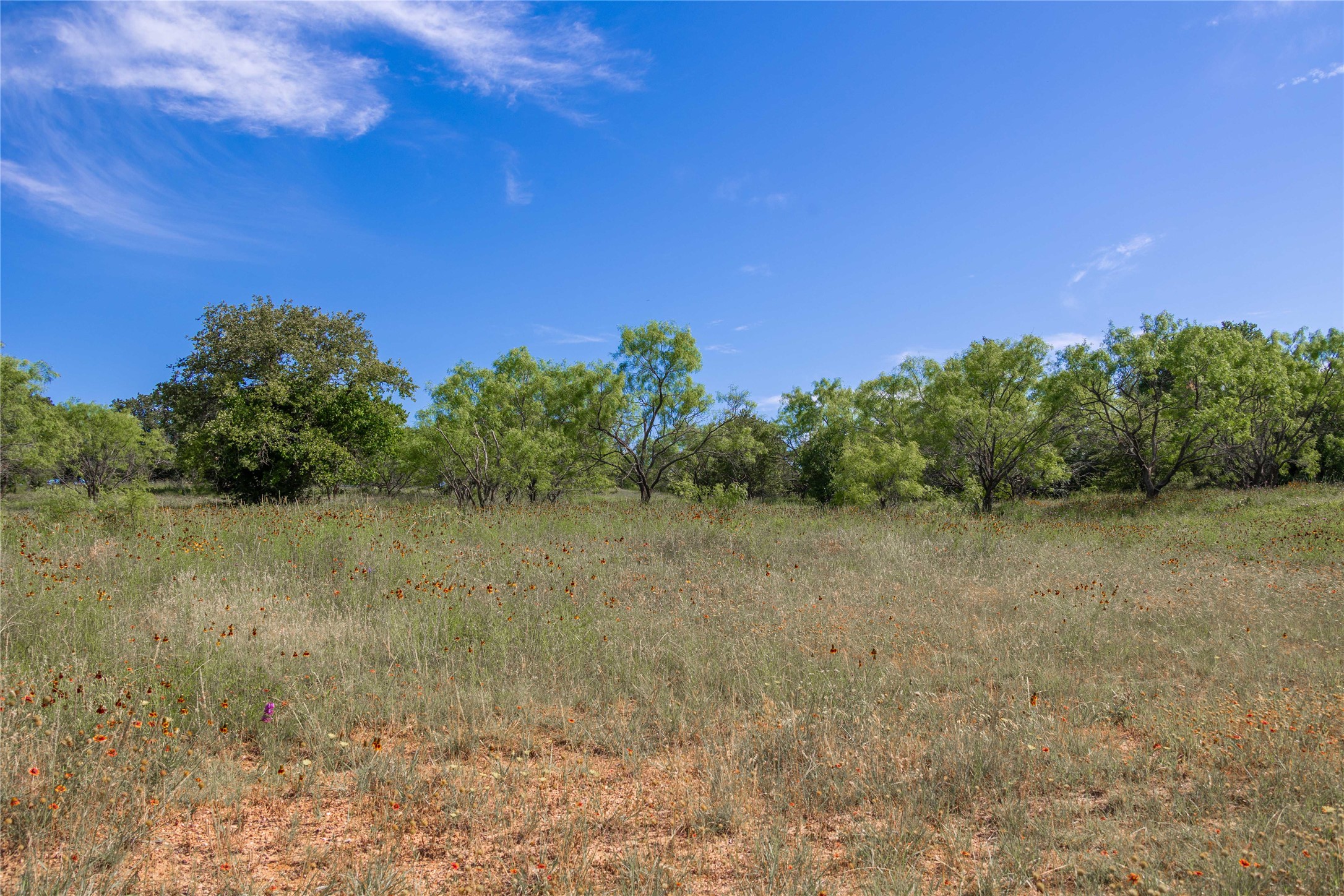 92.195 Acres TBD County Road 434, De Leon, TX, 76446