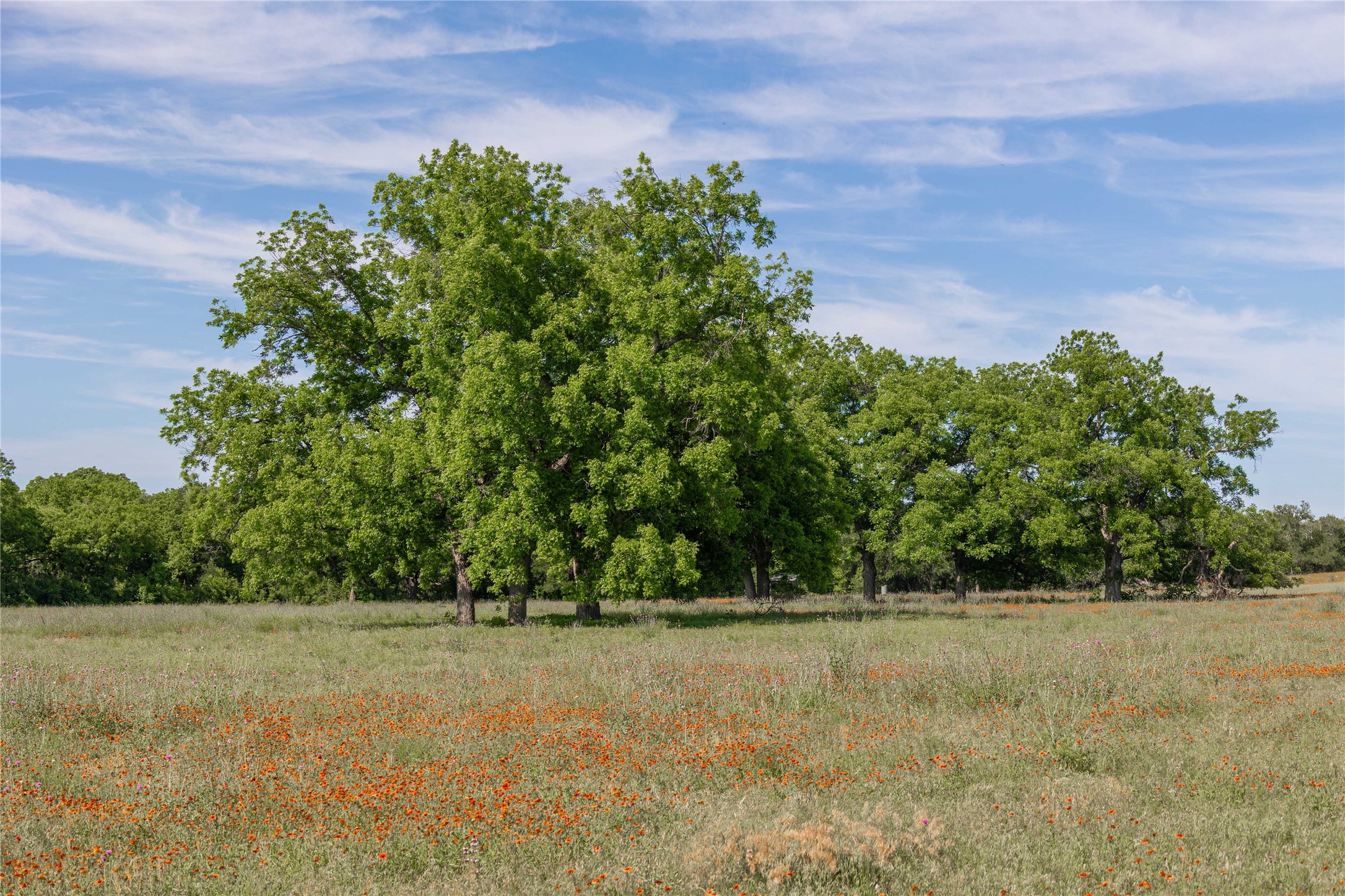 92.195 Acres TBD County Road 434, De Leon, TX, 76446