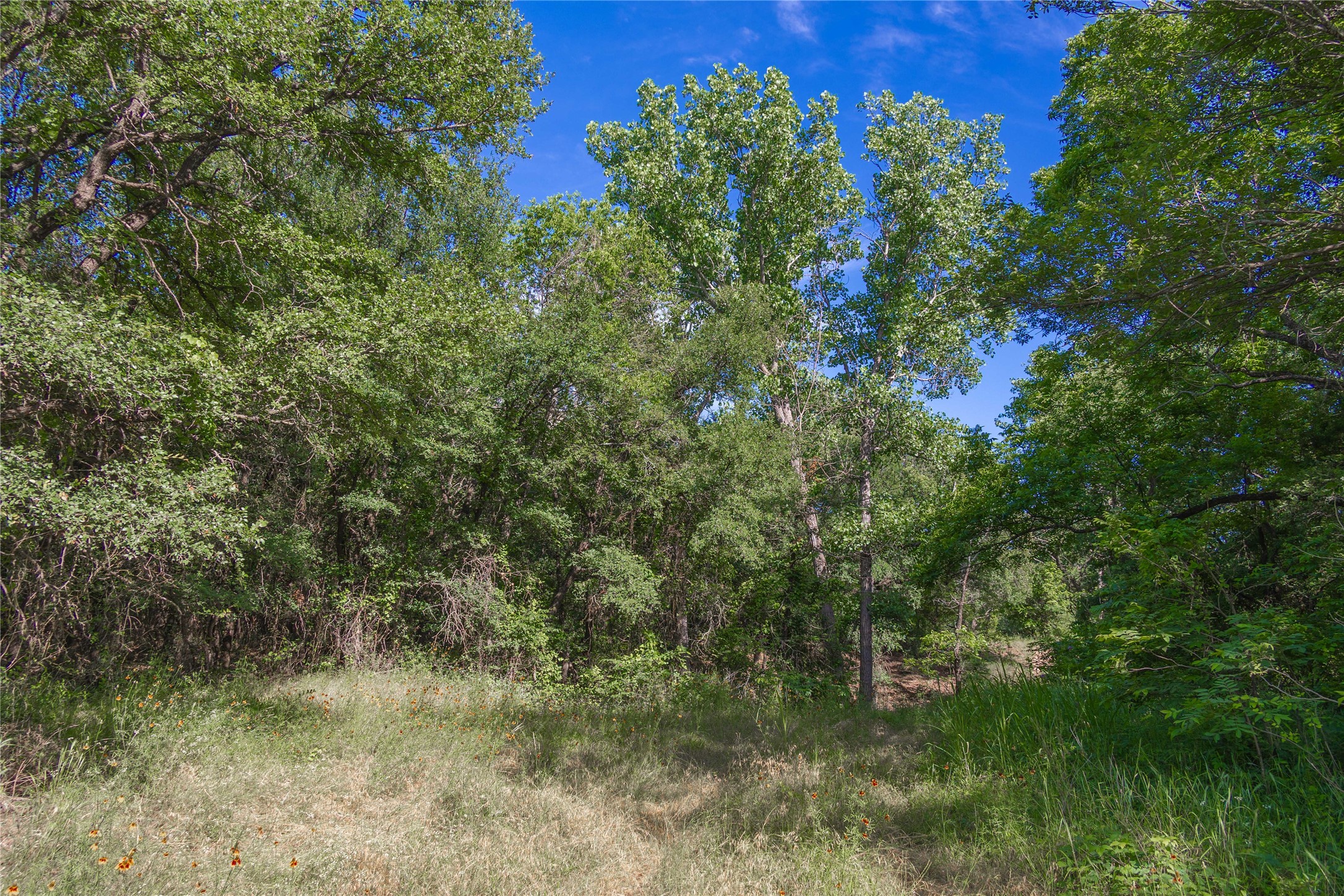 92.195 Acres TBD County Road 434, De Leon, TX, 76446