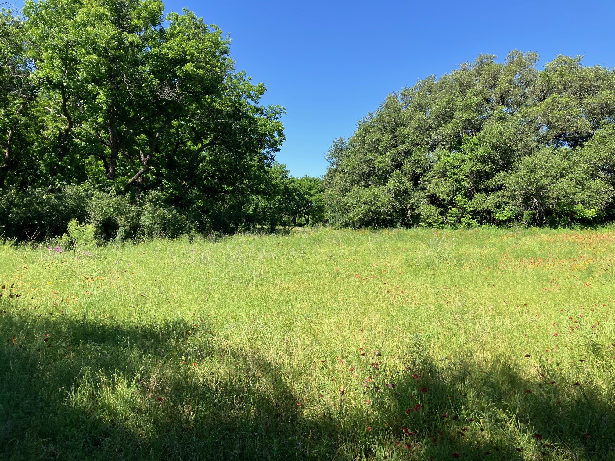 92.195 Acres TBD County Road 434, De Leon, TX, 76446