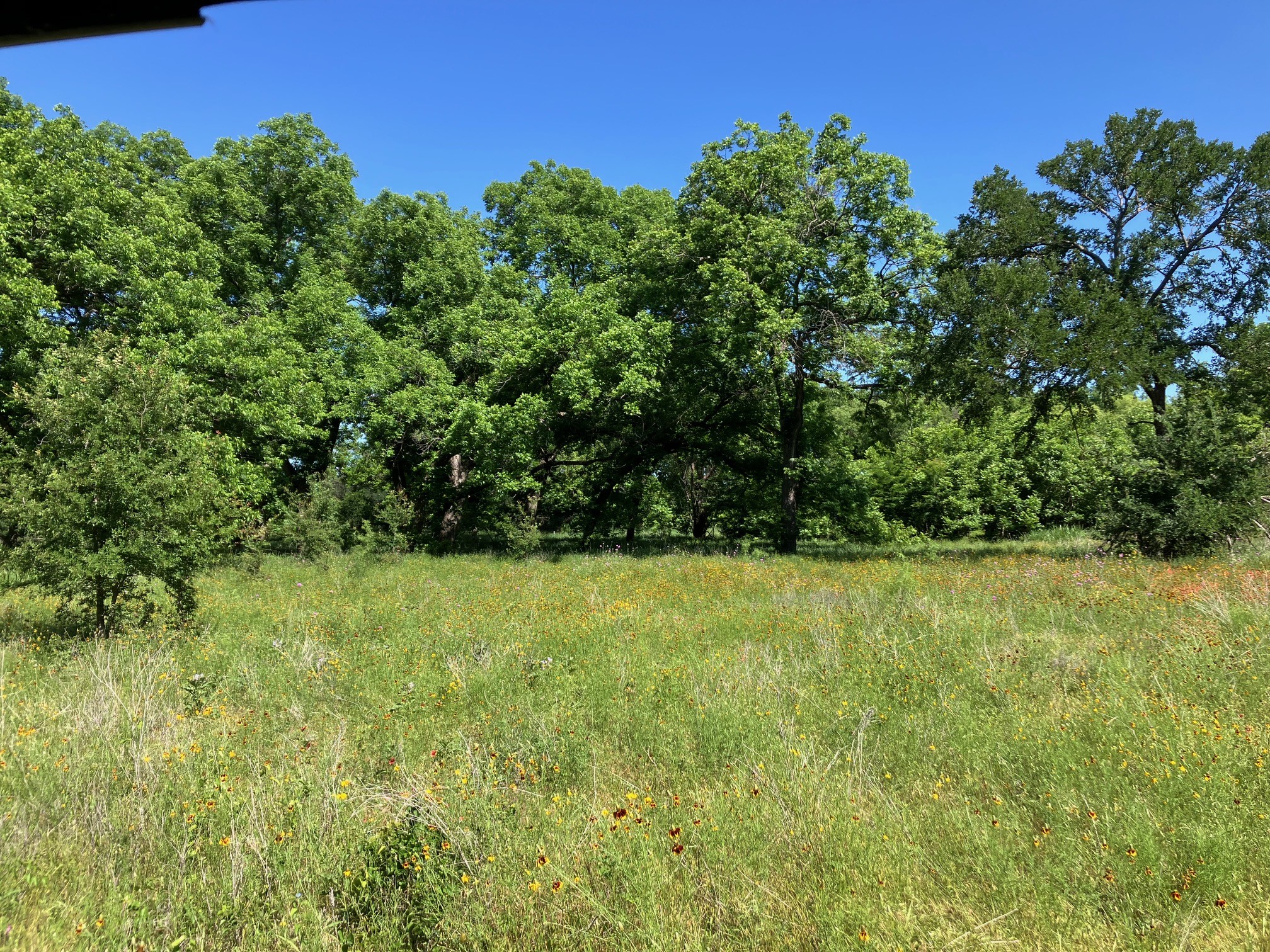 92.195 Acres TBD County Road 434, De Leon, TX, 76446