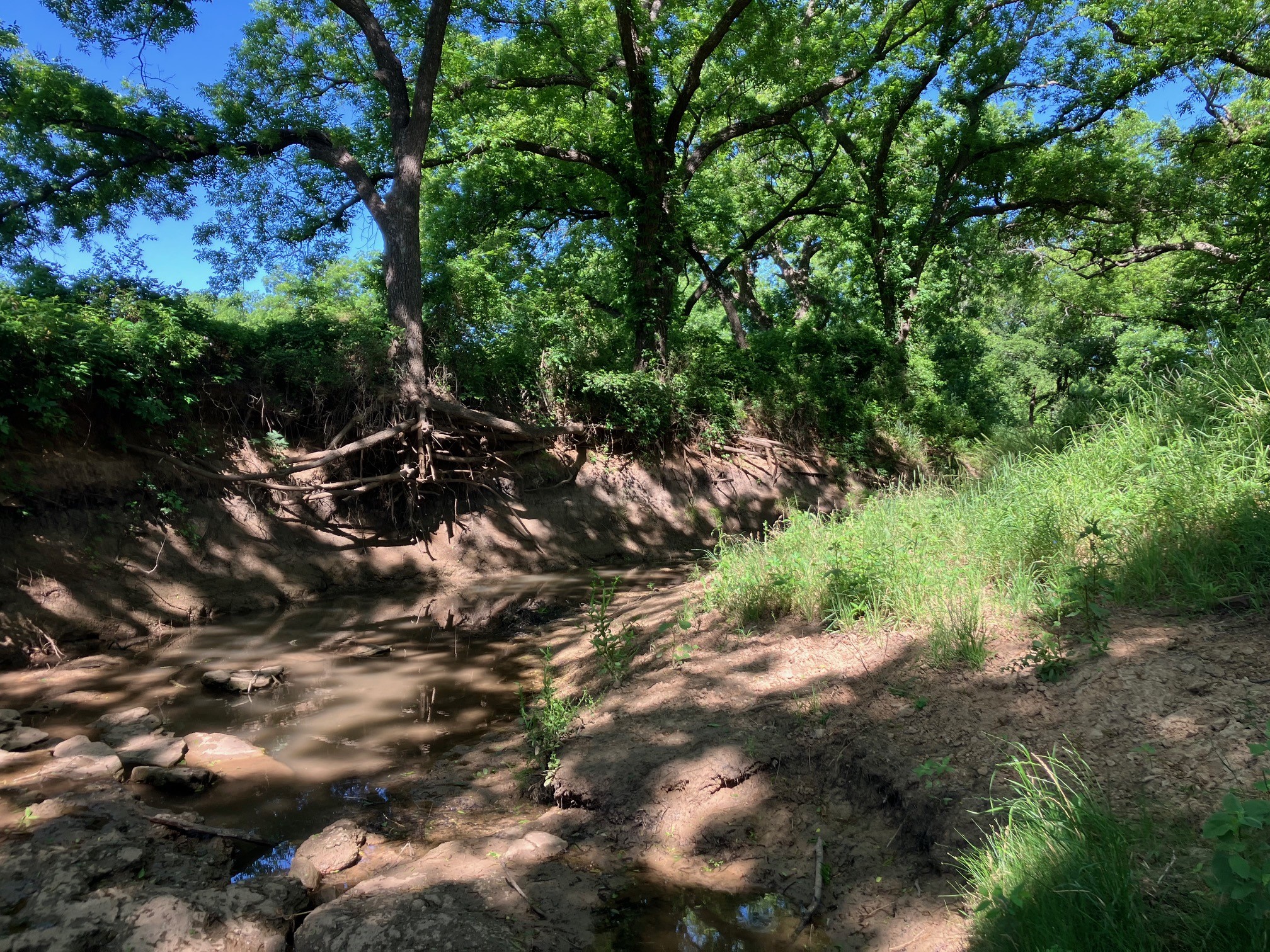 92.195 Acres TBD County Road 434, De Leon, TX, 76446