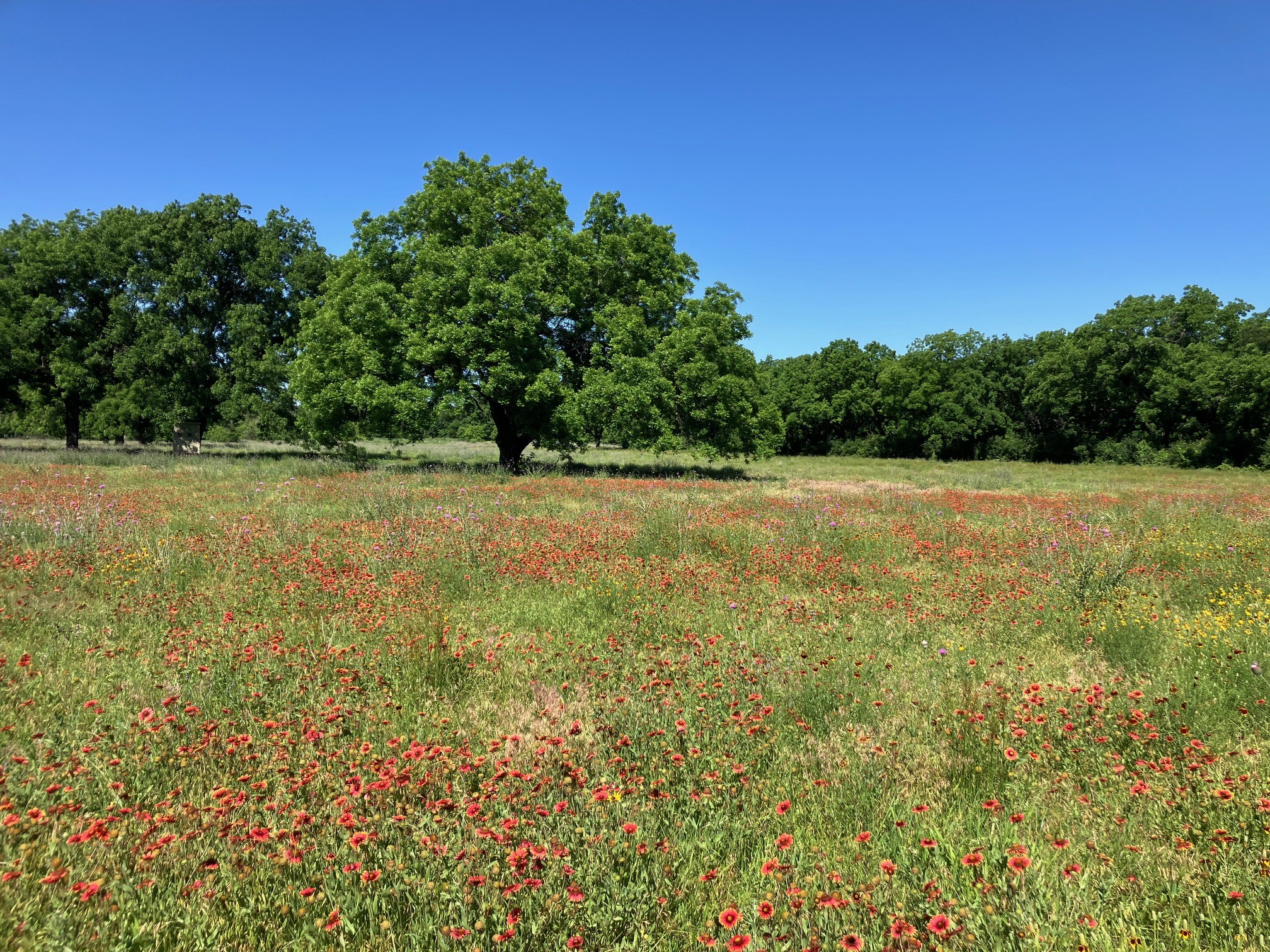 92.195 Acres TBD County Road 434, De Leon, TX, 76446