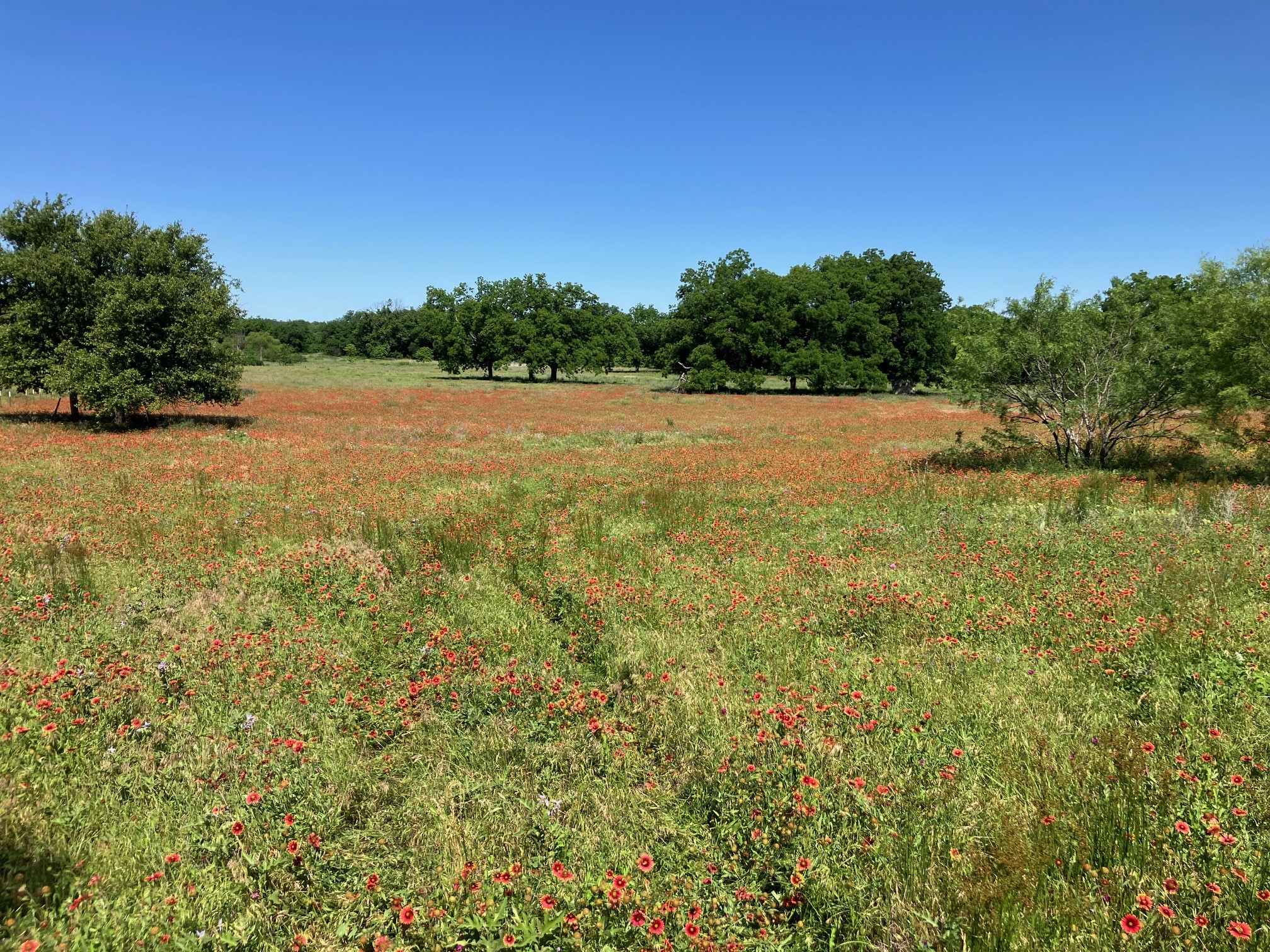 92.195 Acres TBD County Road 434, De Leon, TX, 76446