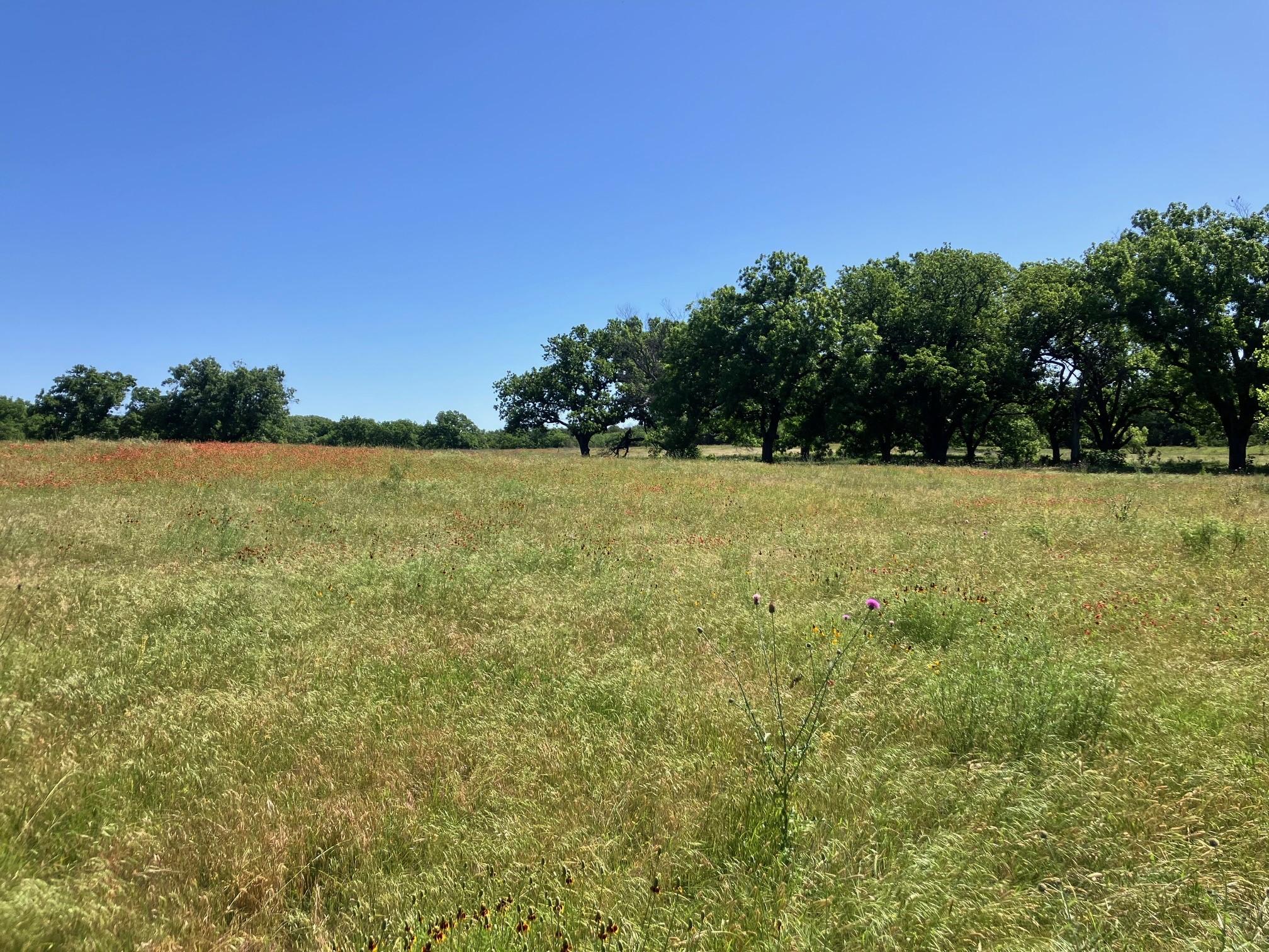92.195 Acres TBD County Road 434, De Leon, TX, 76446