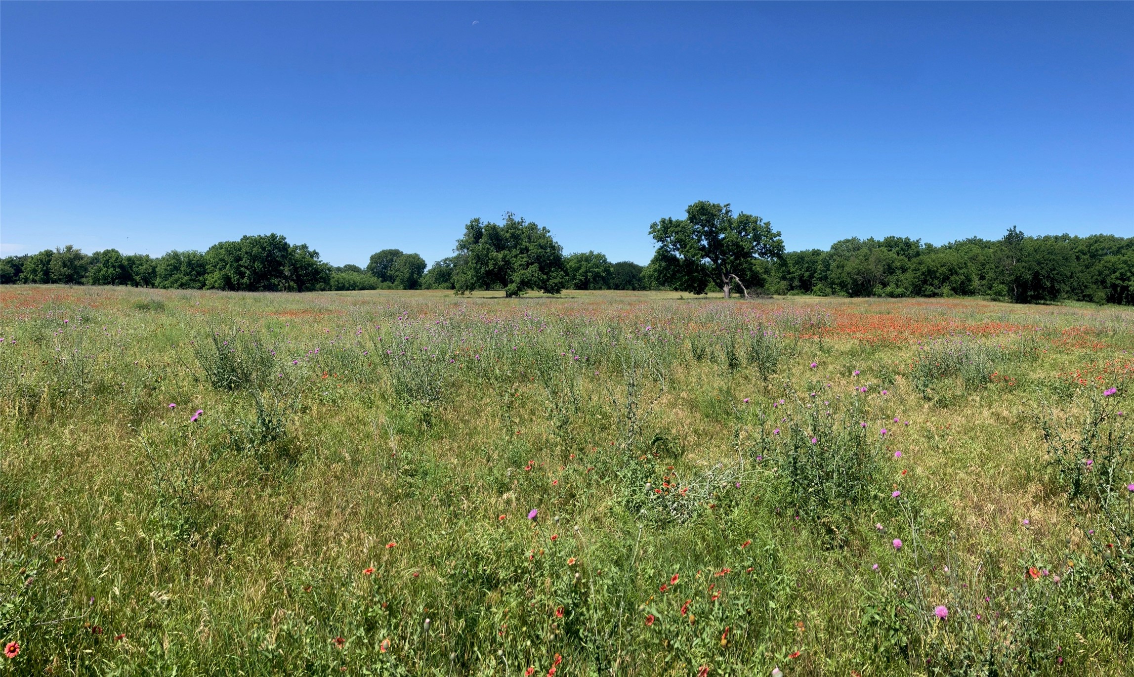 92.195 Acres TBD County Road 434, De Leon, TX, 76446