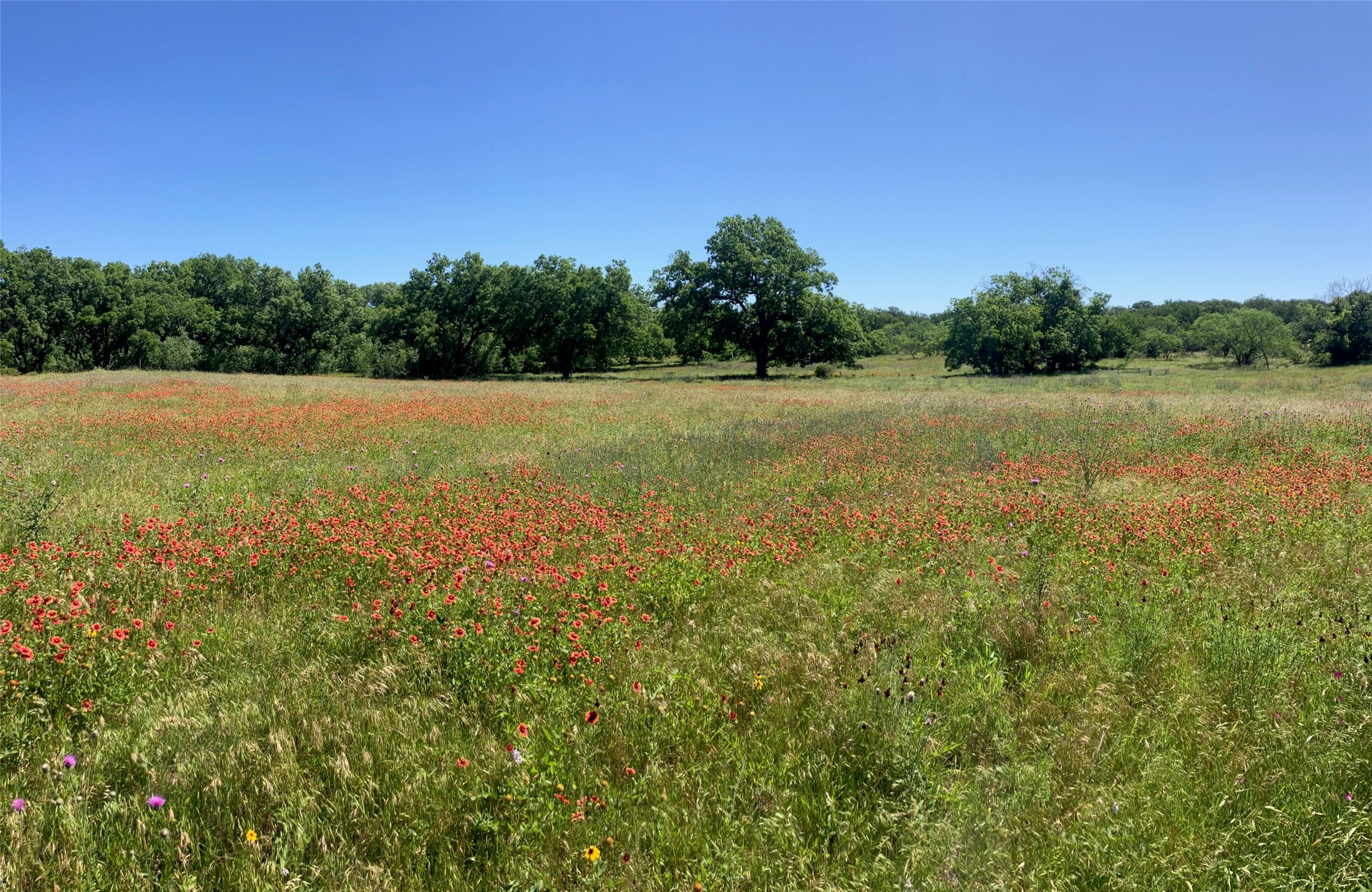 92.195 Acres TBD County Road 434, De Leon, TX, 76446