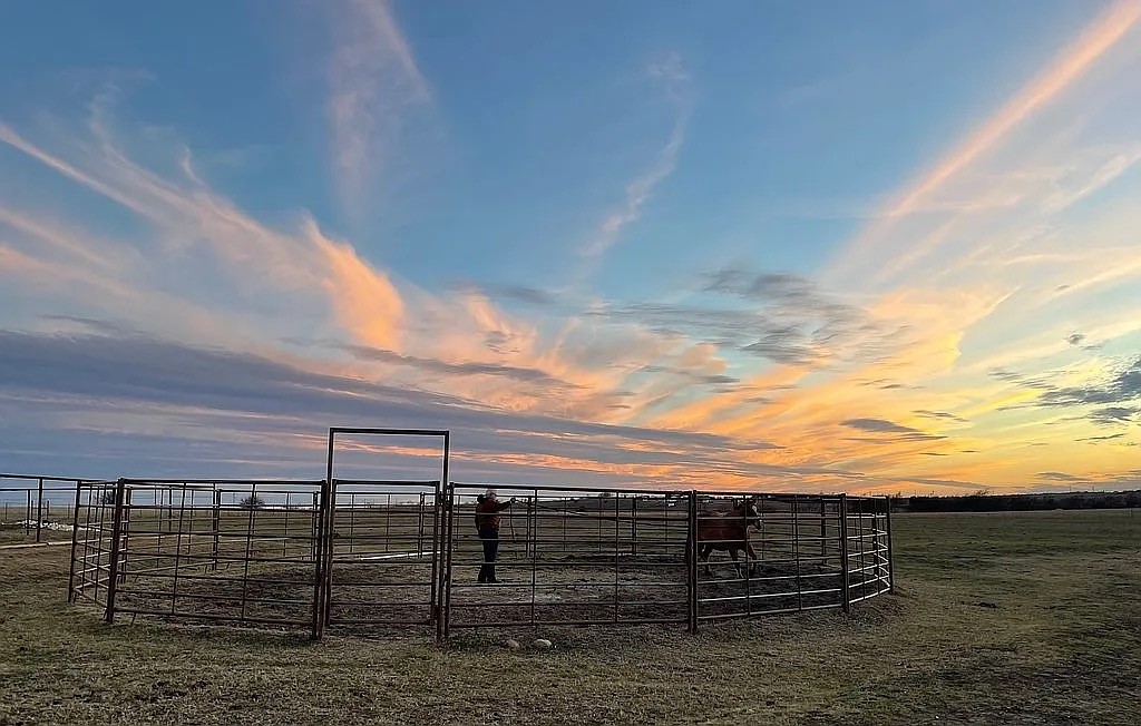8928 County Road 1232, Godley, TX, 76044