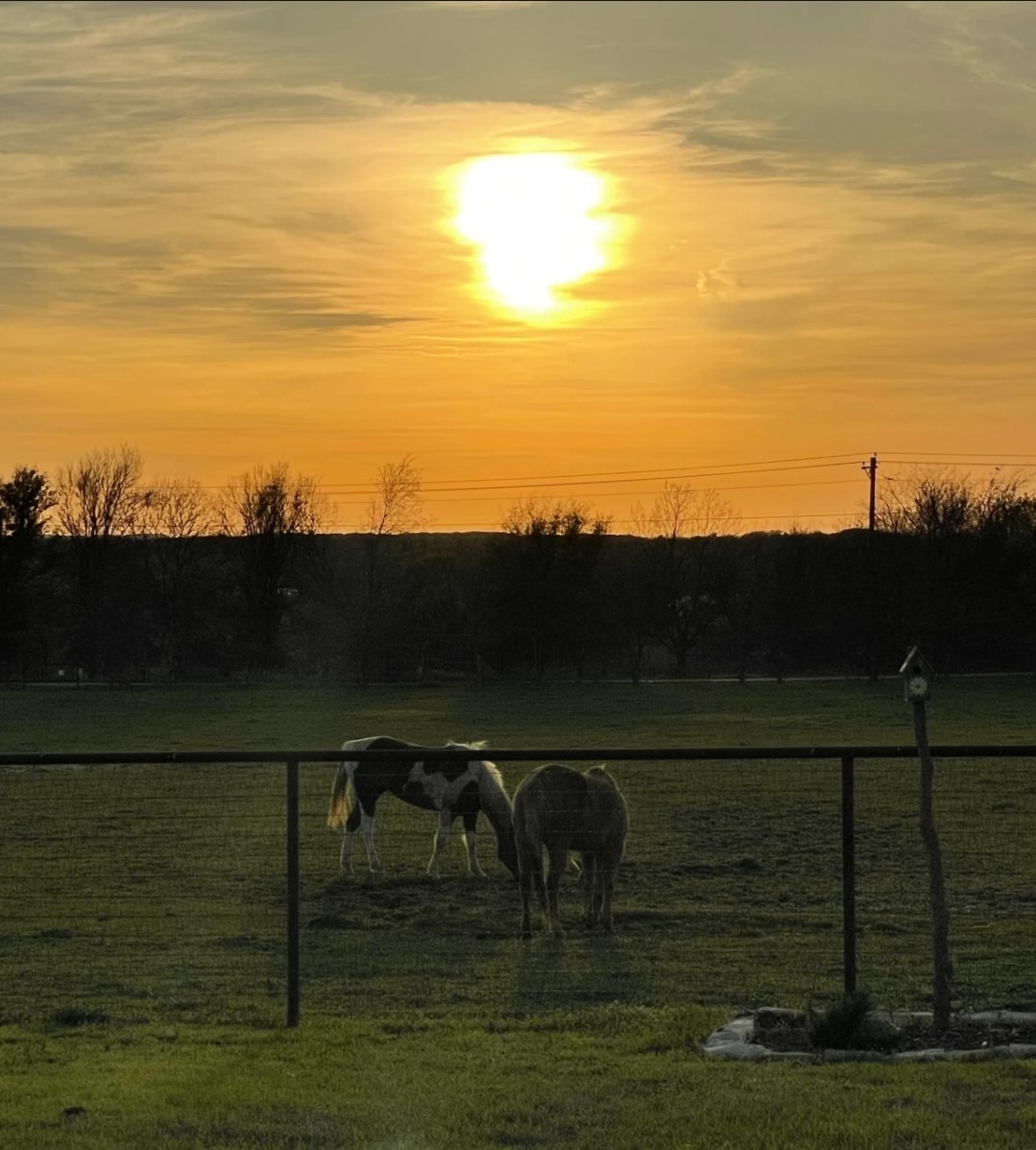8928 County Road 1232, Godley, TX, 76044