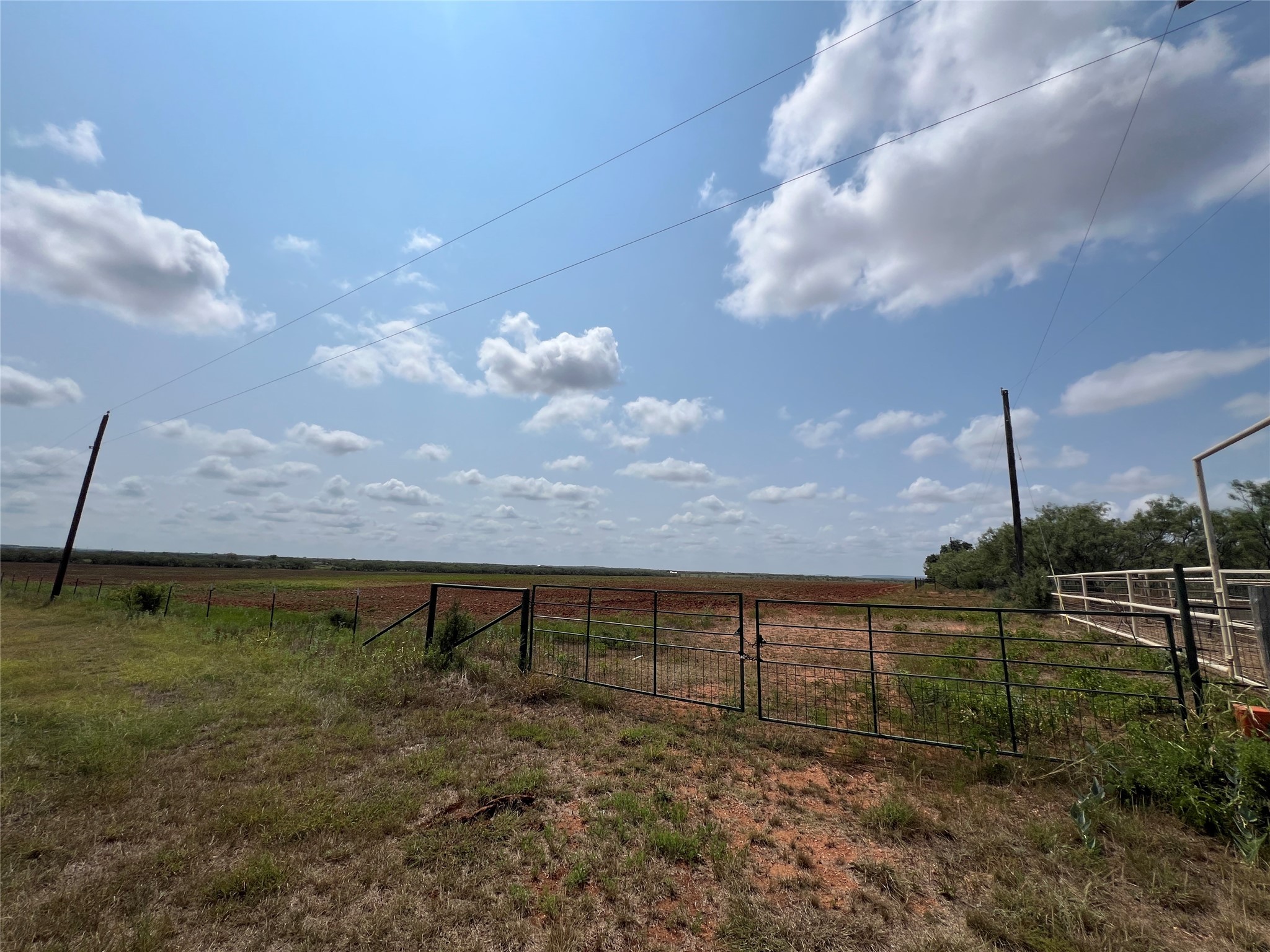 TBD FM 614, Ovalo, TX, 79541