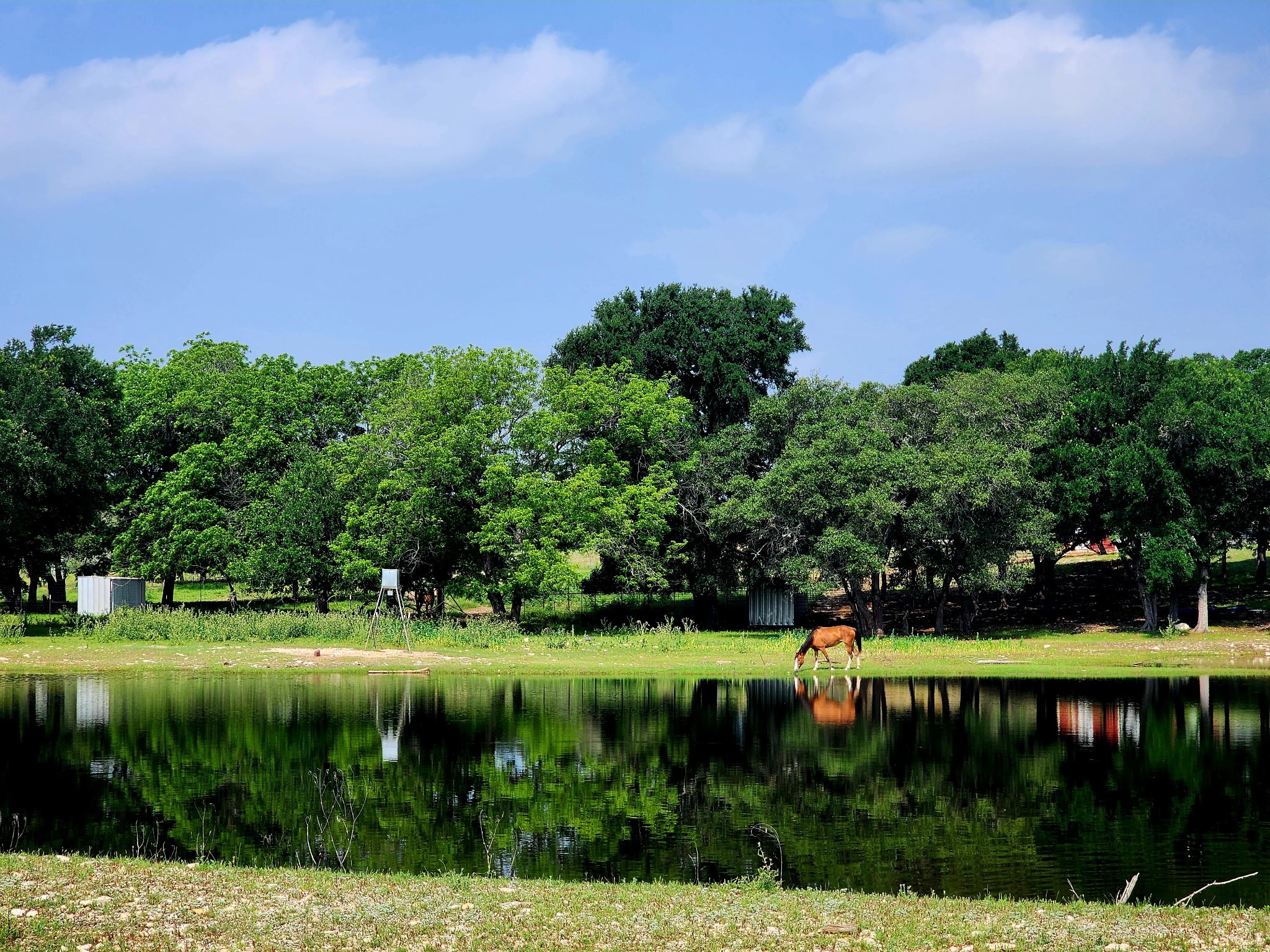 Property photo 02 of 6101 County Road 208, Lampasas, TX 76550 | MLS #21159908