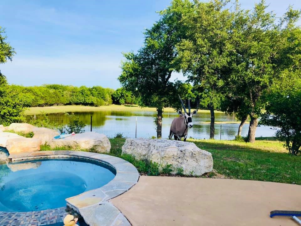 Property photo 01 of 6101 CR 208, Lampasas, TX 76550 | MLS #21161555