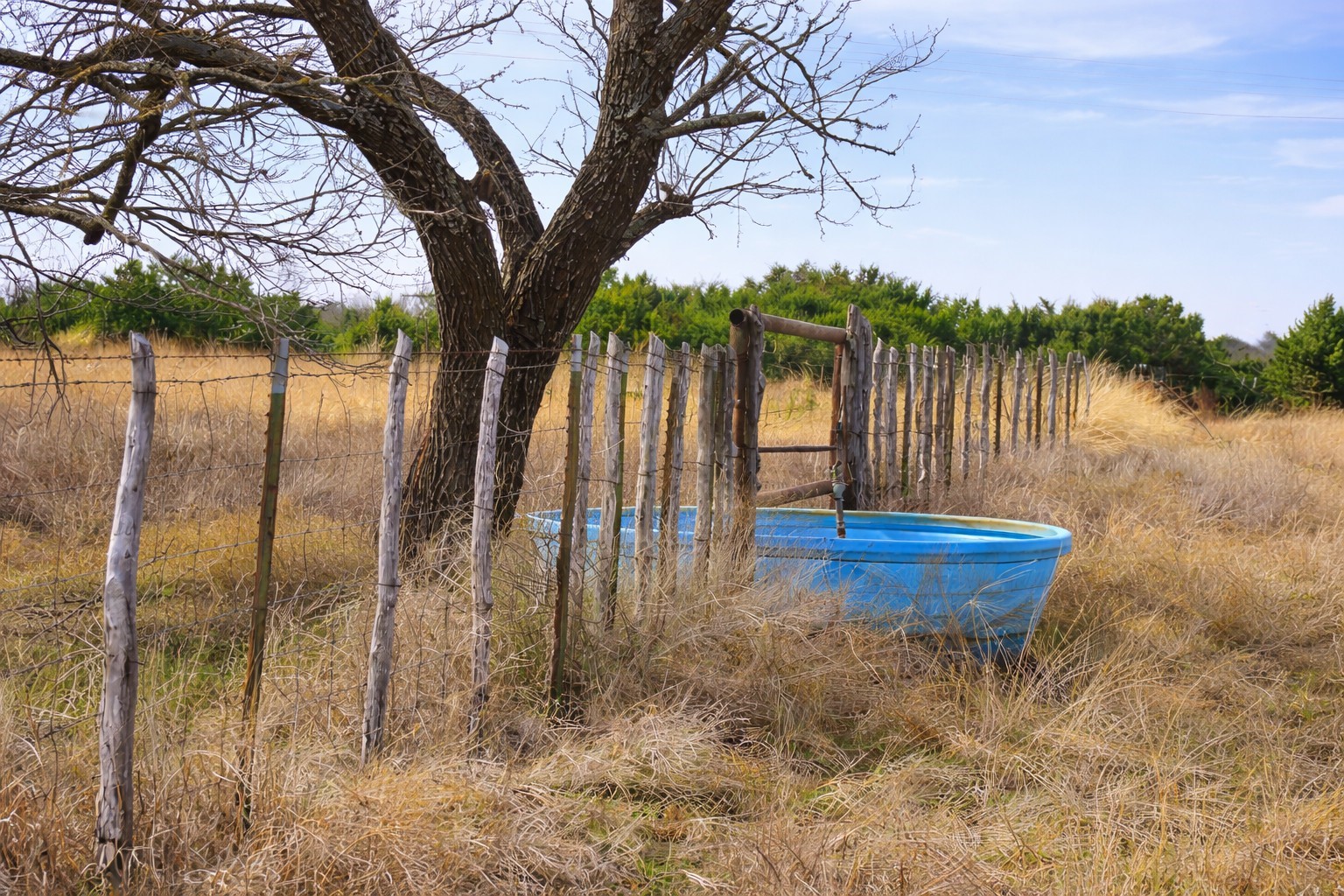 TBD County Road 162, Evant, TX, 76525