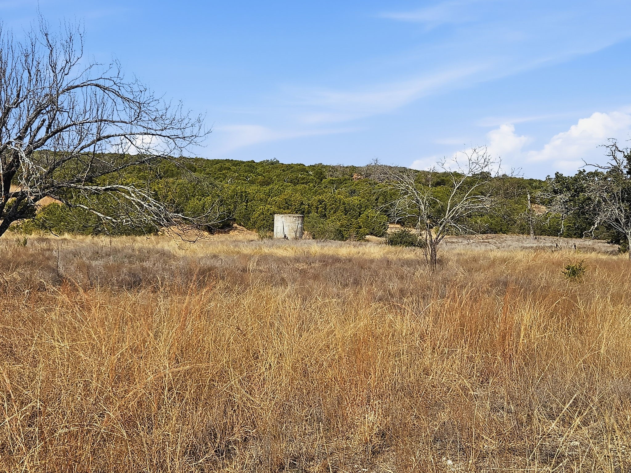 TBD County Road 162, Evant, TX, 76525
