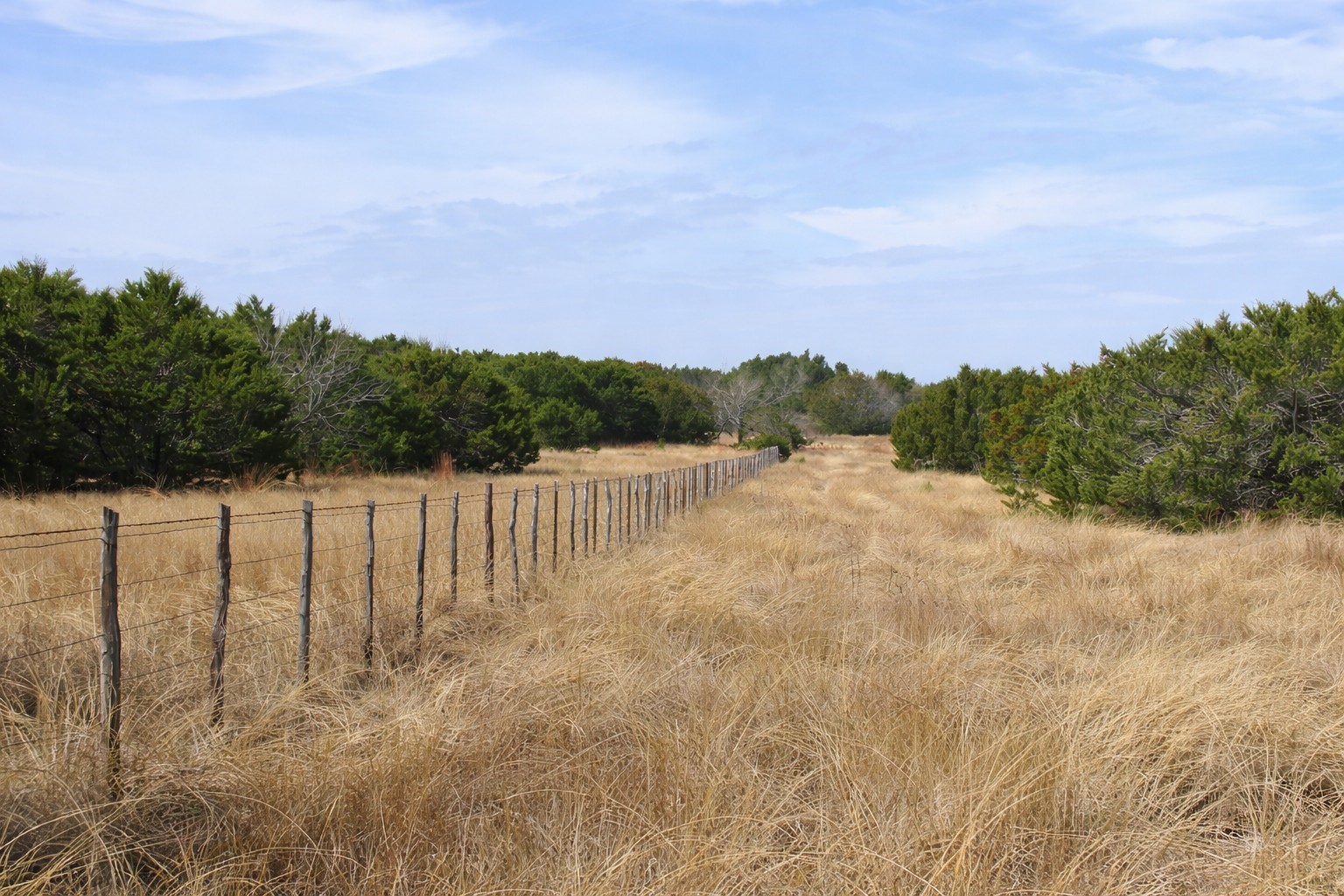 TBD County Road 162, Evant, TX, 76525