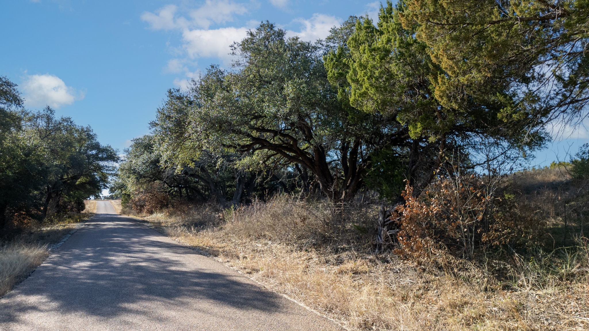 TBD County Road 162, Evant, TX, 76525