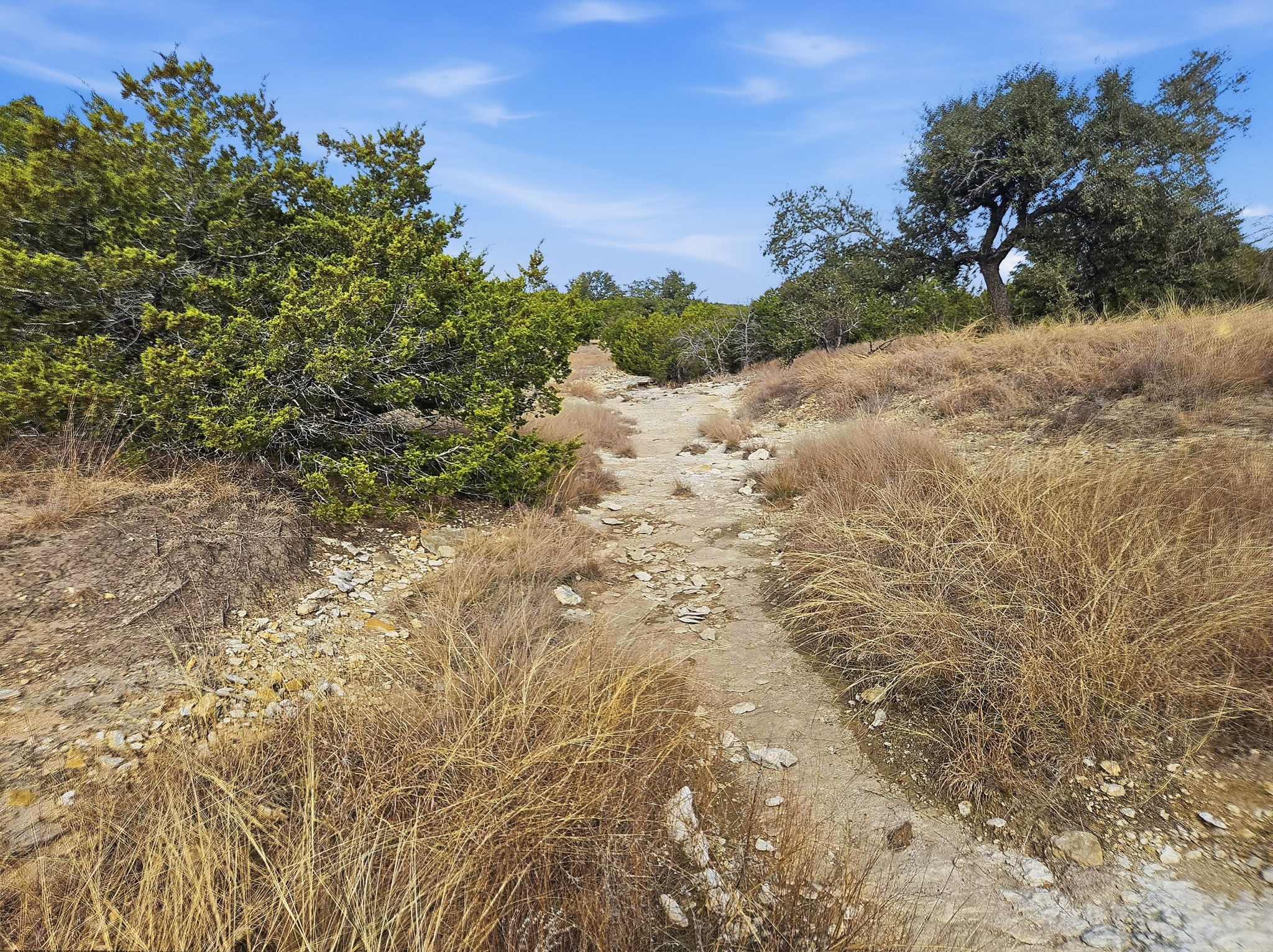 TBD County Road 162, Evant, TX, 76525