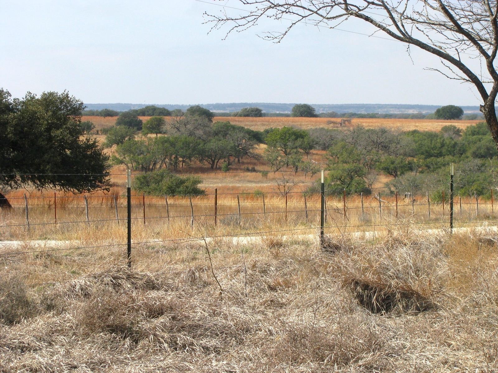 TBD County Road 162, Evant, TX, 76525