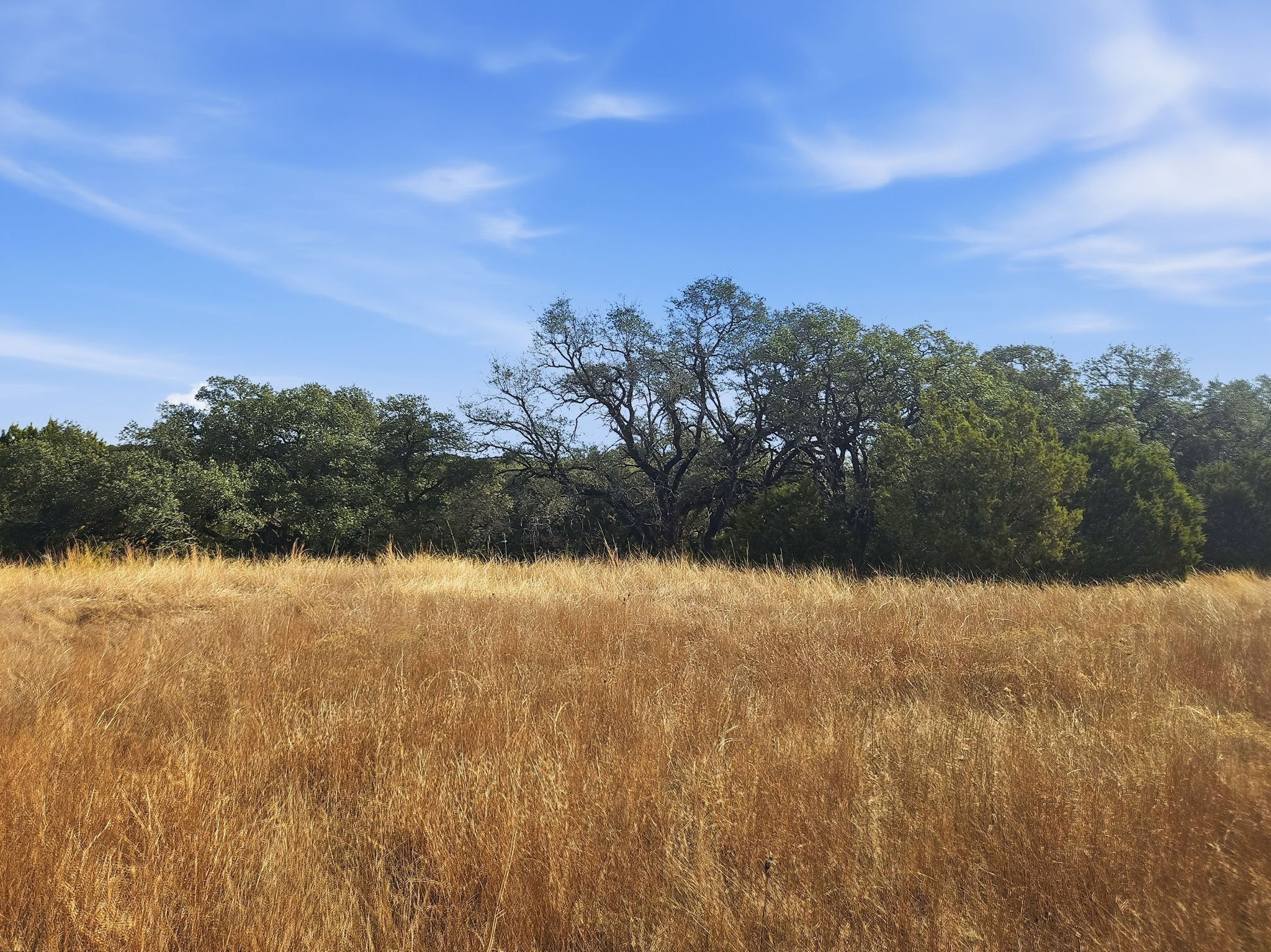 TBD County Road 162, Evant, TX, 76525