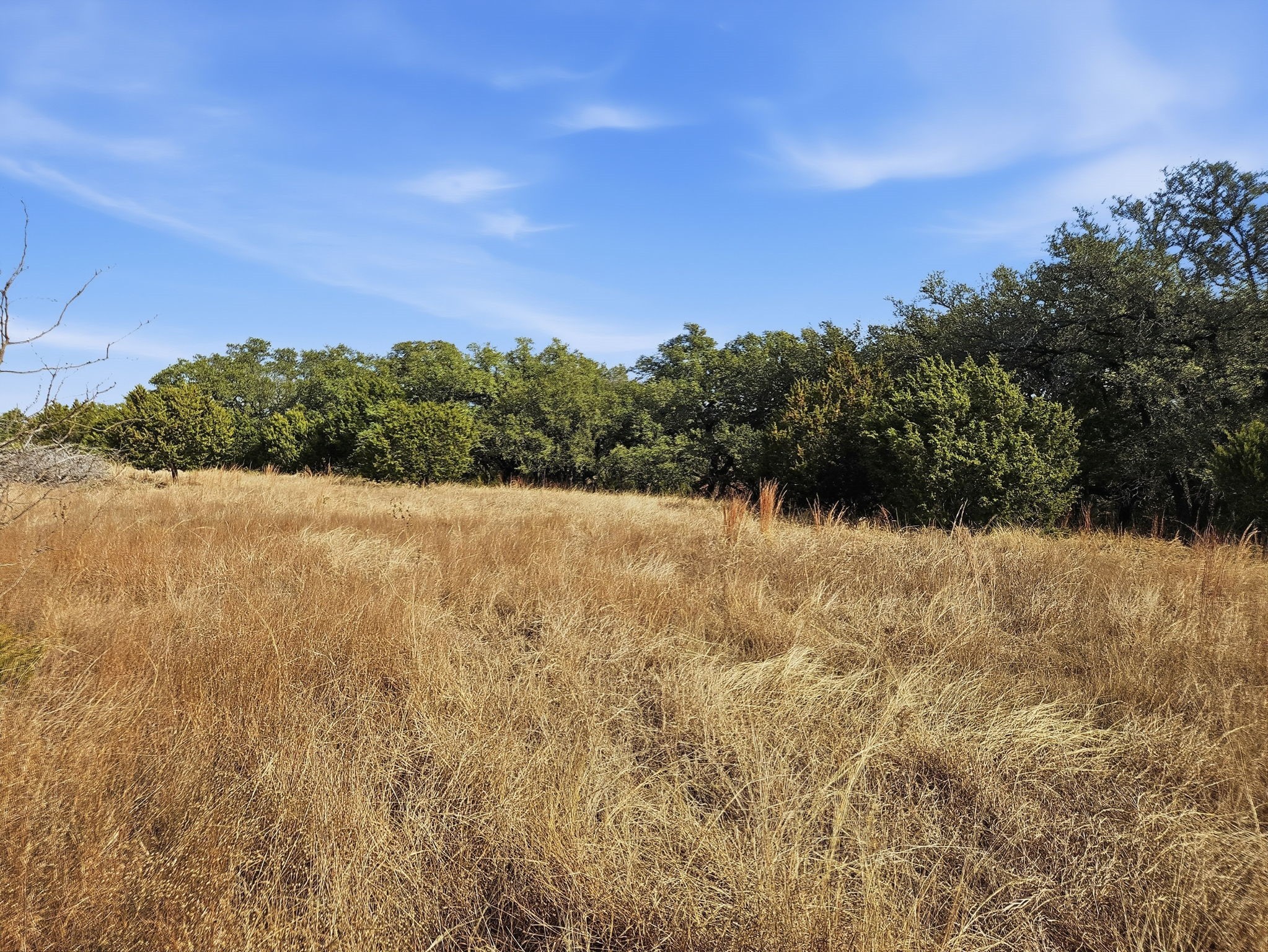 TBD County Road 162, Evant, TX, 76525
