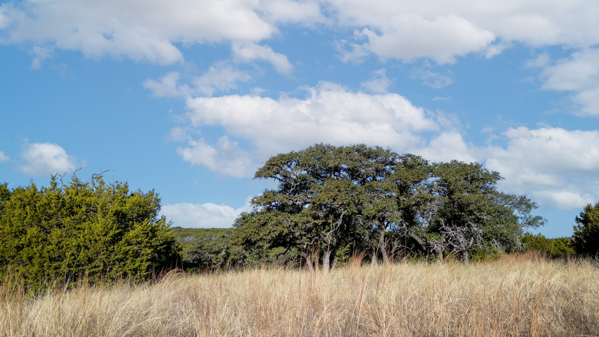 TBD County Road 162, Evant, TX, 76525