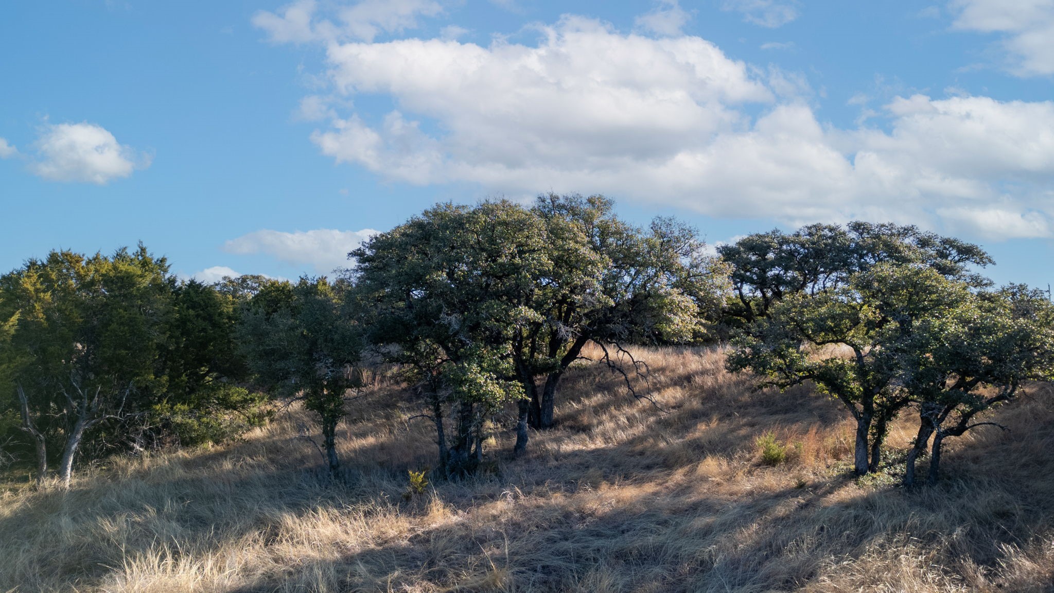 TBD County Road 162, Evant, TX, 76525