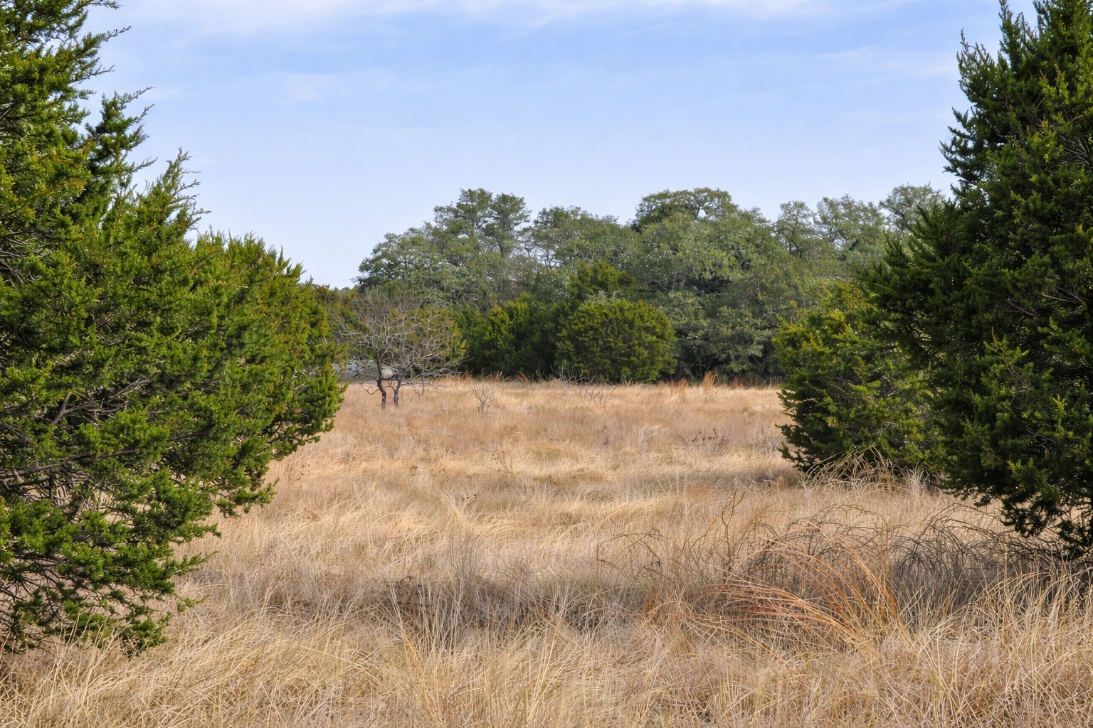 TBD County Road 162, Evant, TX, 76525