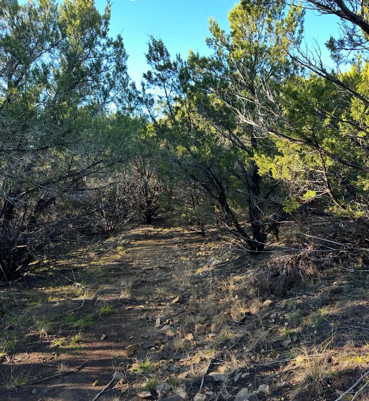 18800 US HWY 180, Breckenridge, TX, 76429