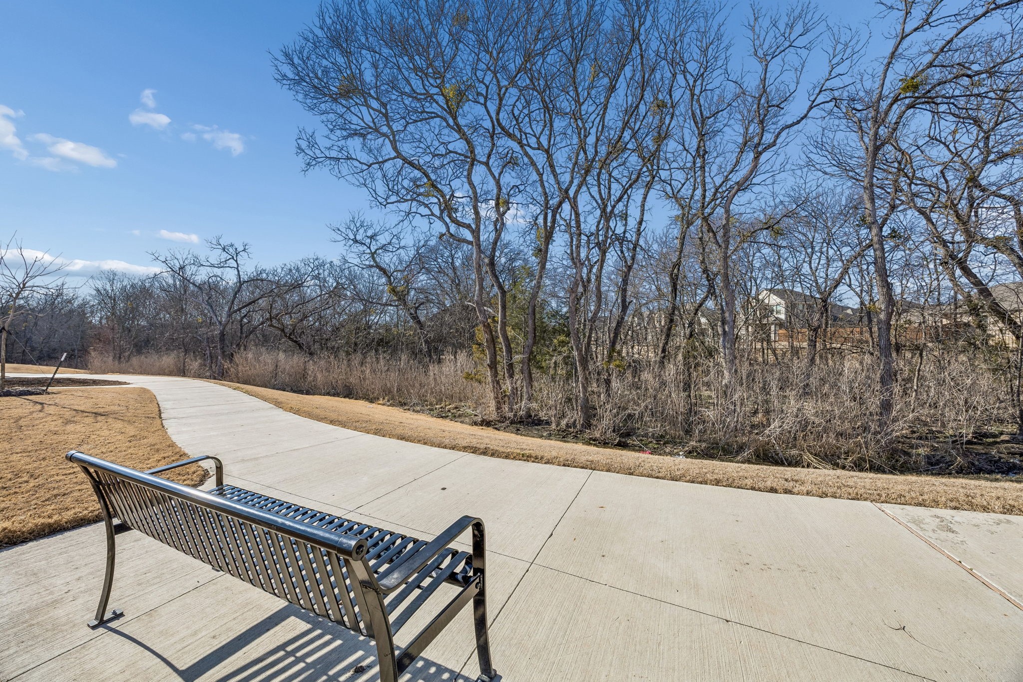 913 Loganberry Drive, Princeton, TX, 75407