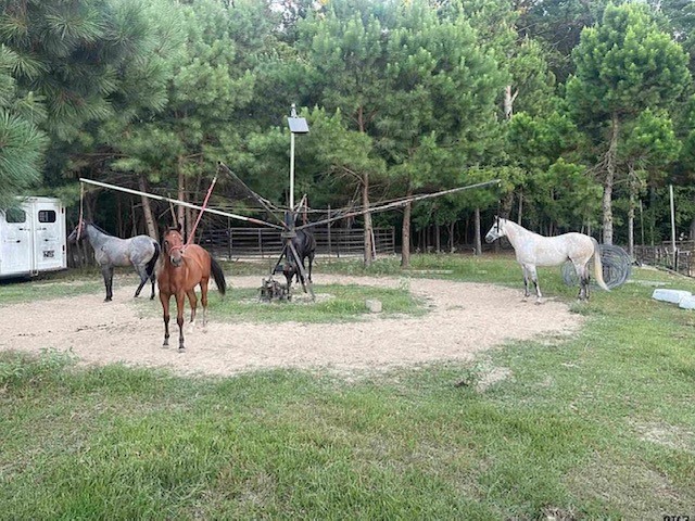8261 County Road 381, Tyler, TX, 75708