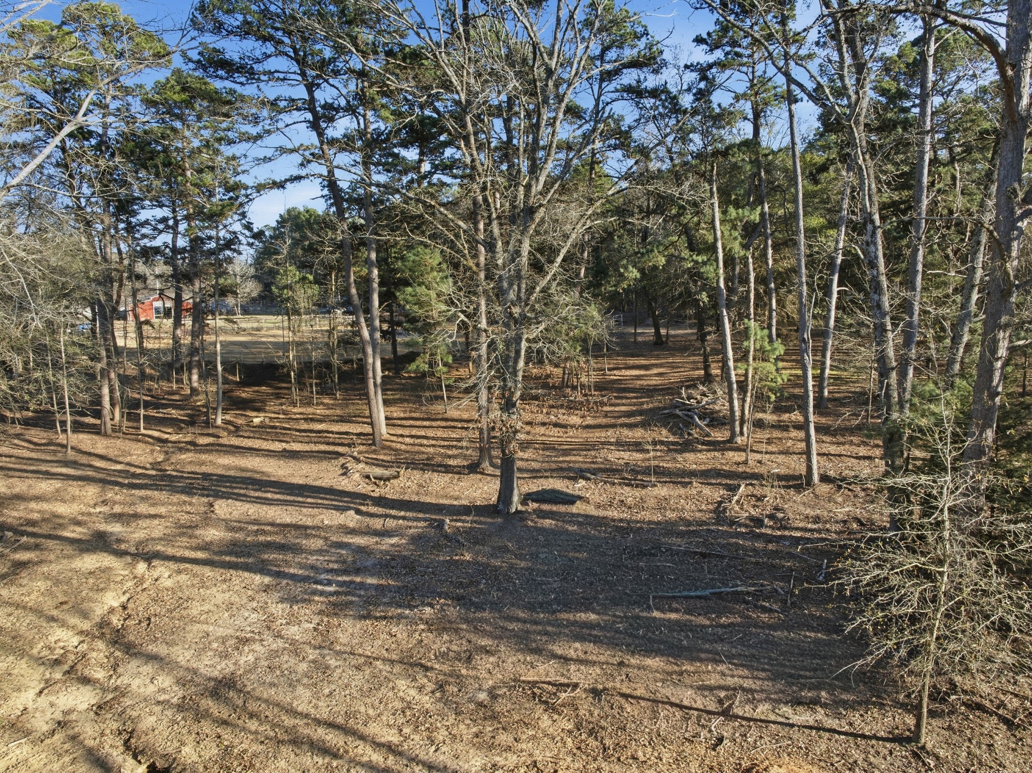 8261 County Road 381, Tyler, TX, 75708