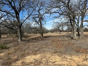 Property photo 01 of TBD CR 2030 Lot 9 Glen, Rose, TX 76043 | MLS #21162940