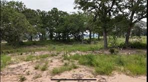 Property photo 02 of TBD CR 2030 Lot 9 Glen, Rose, TX 76043 | MLS #21162940