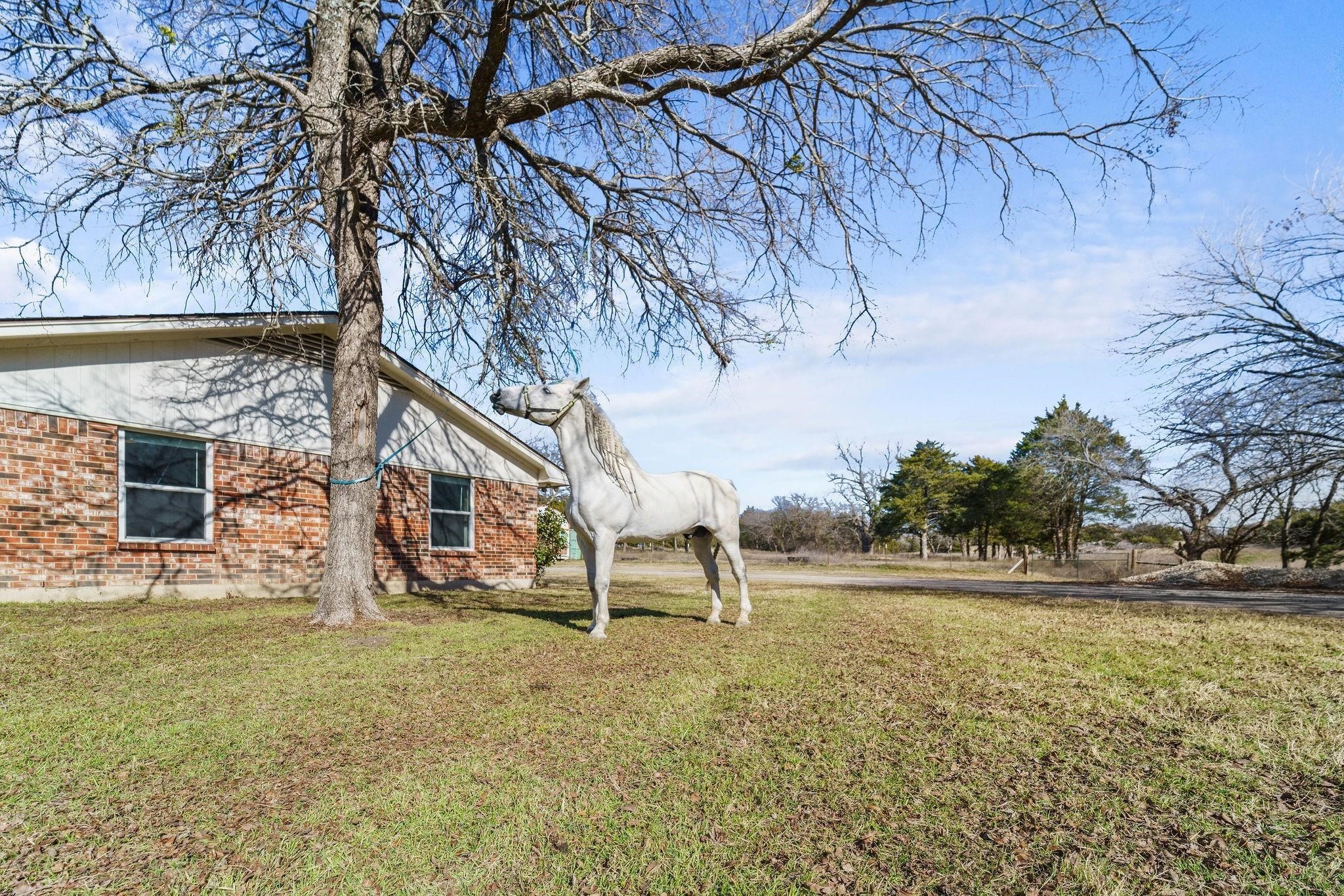 1006 S Clark Road, Cedar Hill, TX, 75104