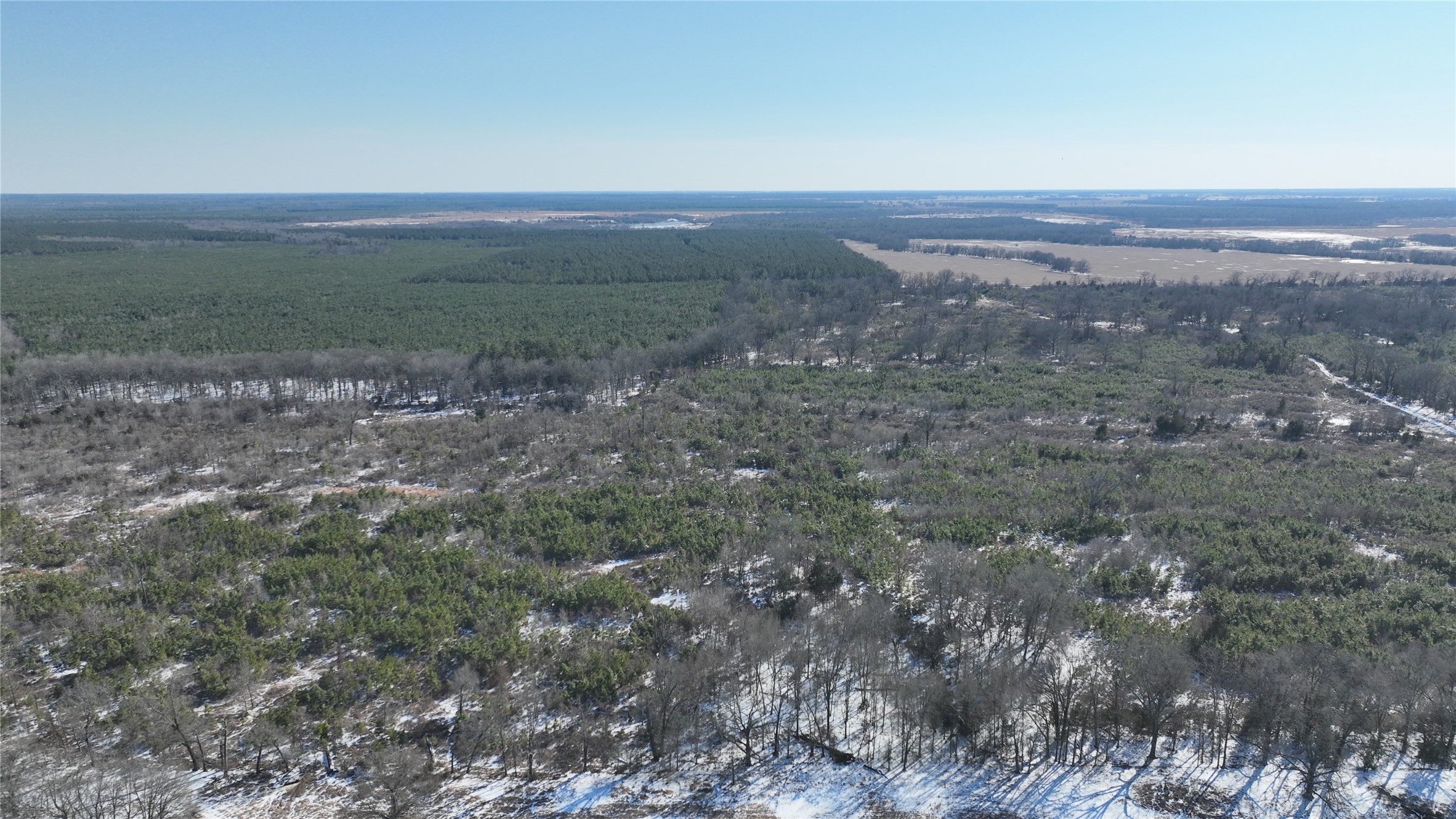 TBD County Rd 2242 S., Bagwell, TX, 75412