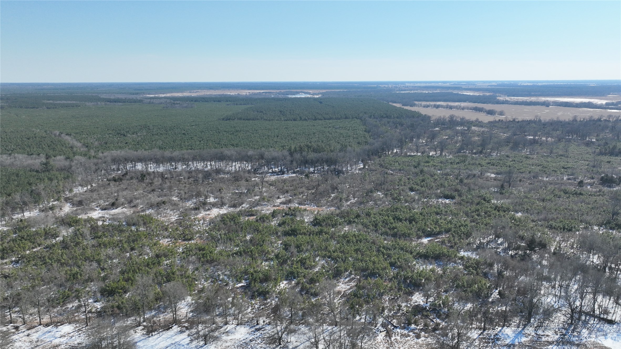 TBD County Rd 2242 S., Bagwell, TX, 75412