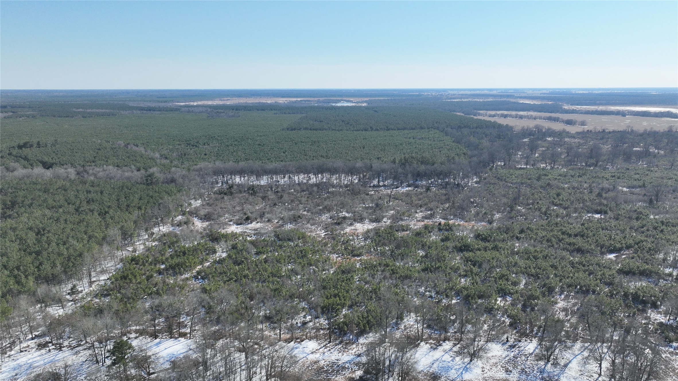 TBD County Rd 2242 S., Bagwell, TX, 75412