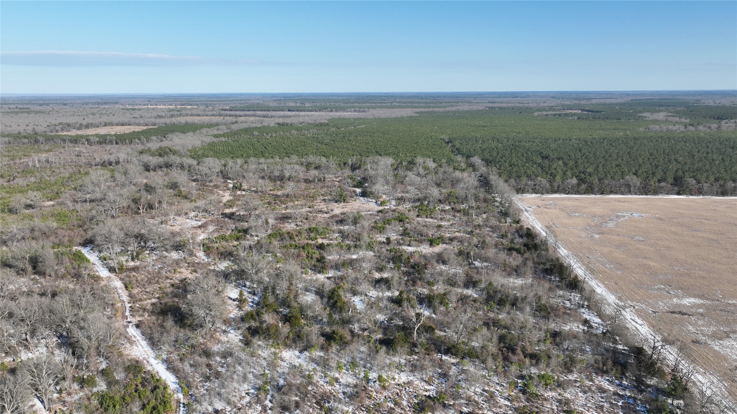 TBD County Rd 2242 S., Bagwell, TX, 75412