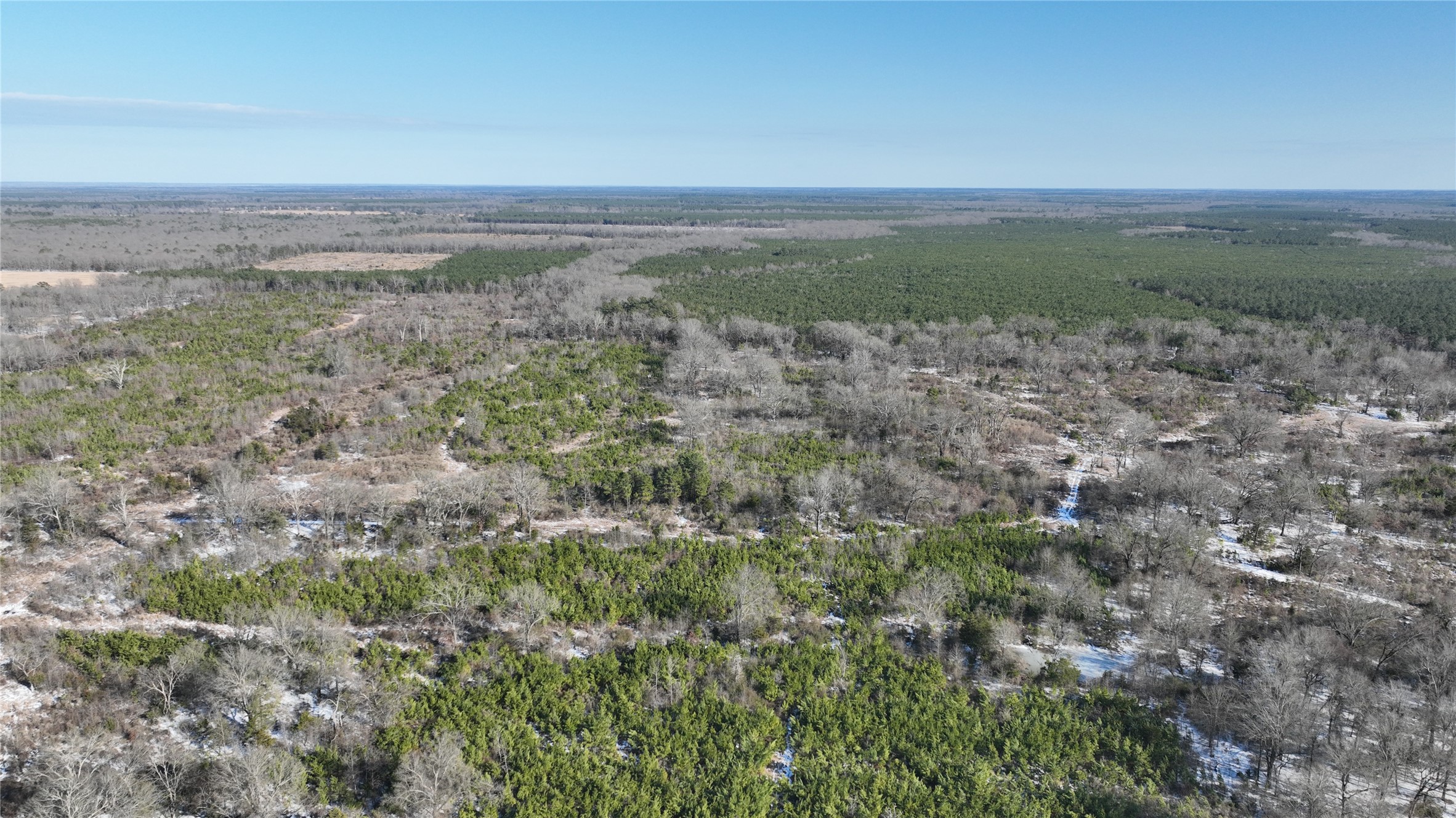 TBD County Rd 2242 S., Bagwell, TX, 75412