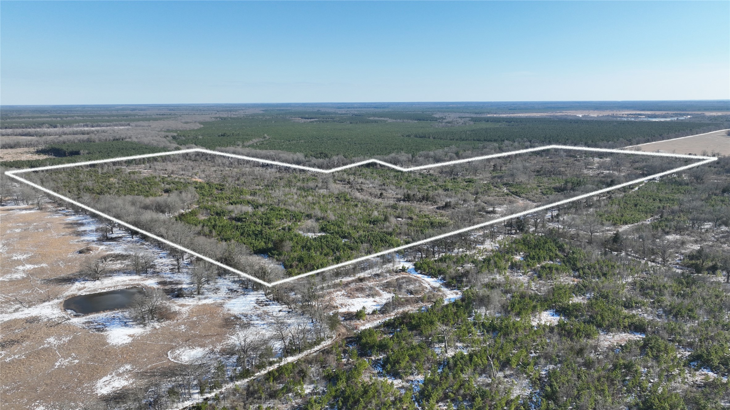 TBD County Rd 2242 S., Bagwell, TX, 75412