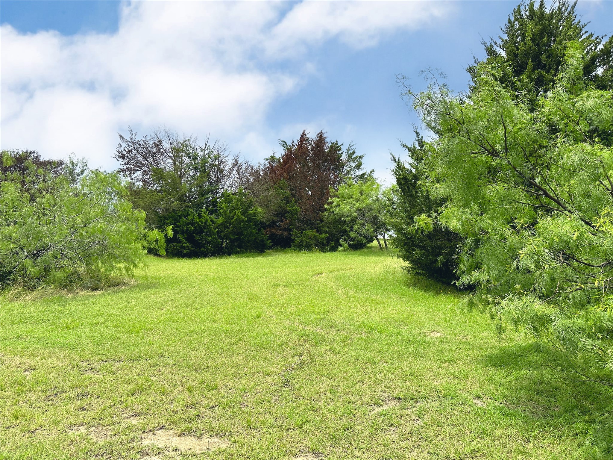Lot 97 Fiddler Lane, Corsicana, TX, 75109