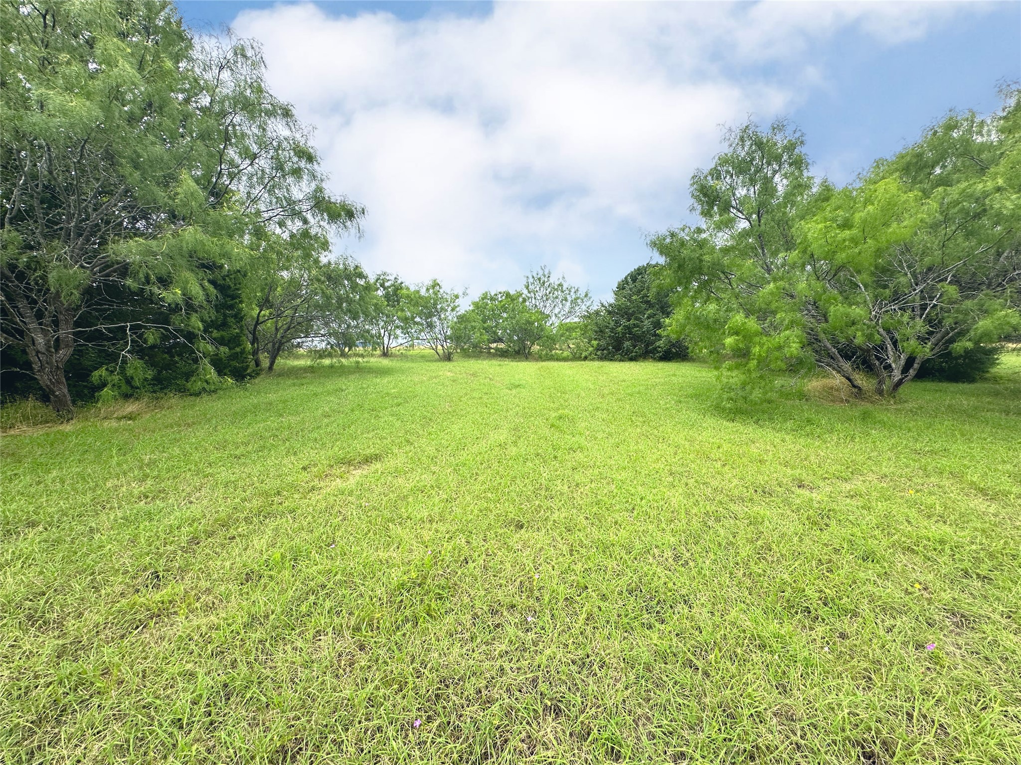 Lot 97 Fiddler Lane, Corsicana, TX, 75109