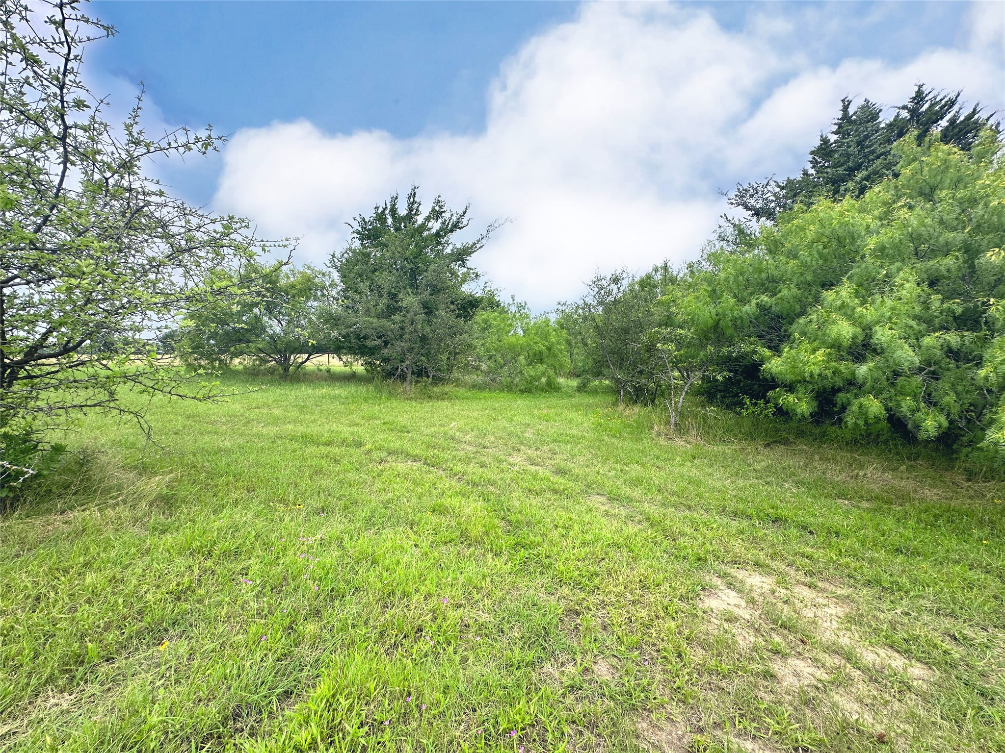Lot 97 Fiddler Lane, Corsicana, TX, 75109