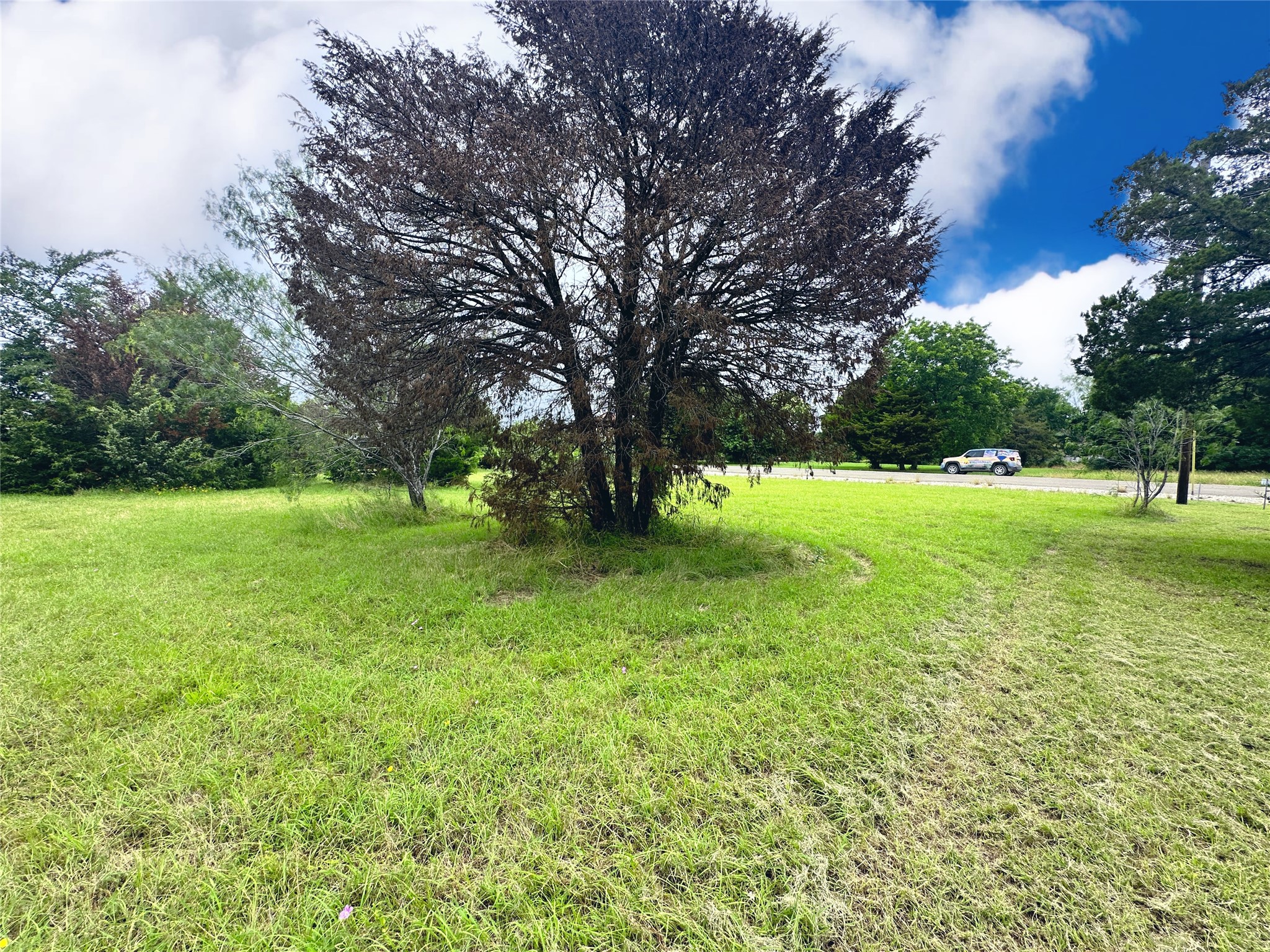 Lot 97 Fiddler Lane, Corsicana, TX, 75109