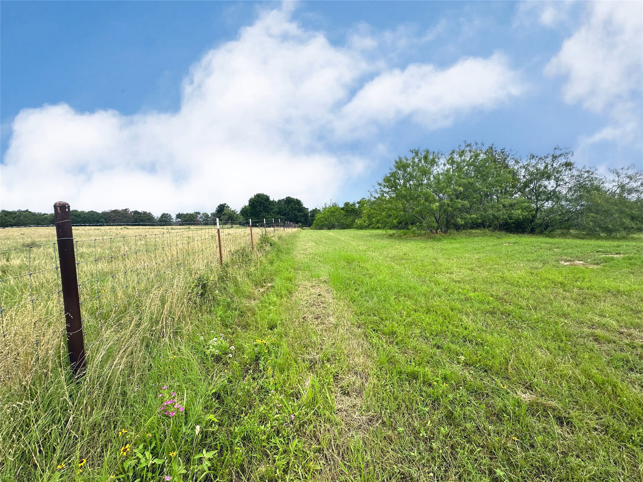 Lot 97 Fiddler Lane, Corsicana, TX, 75109