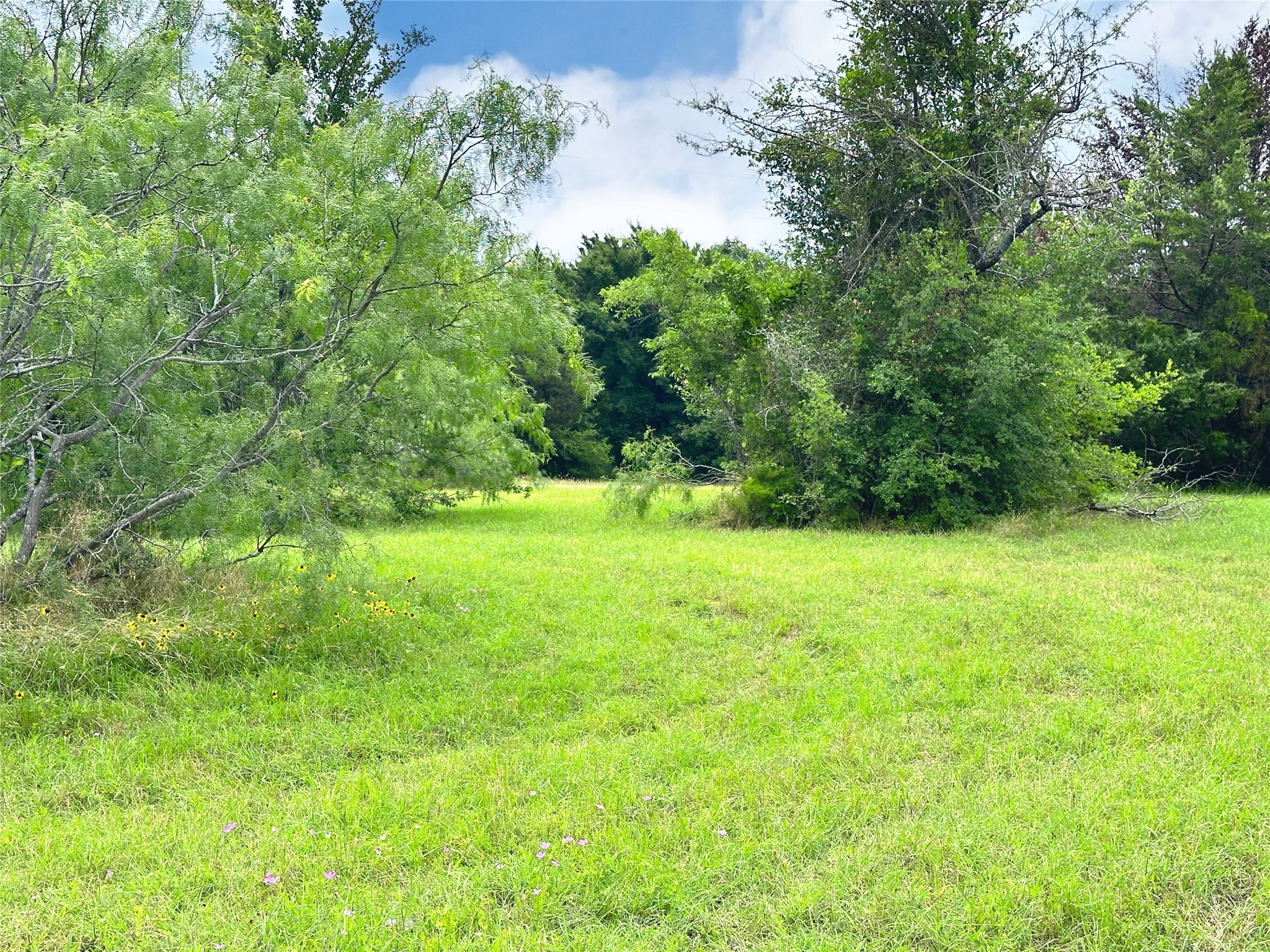 Lot 97 Fiddler Lane, Corsicana, TX, 75109