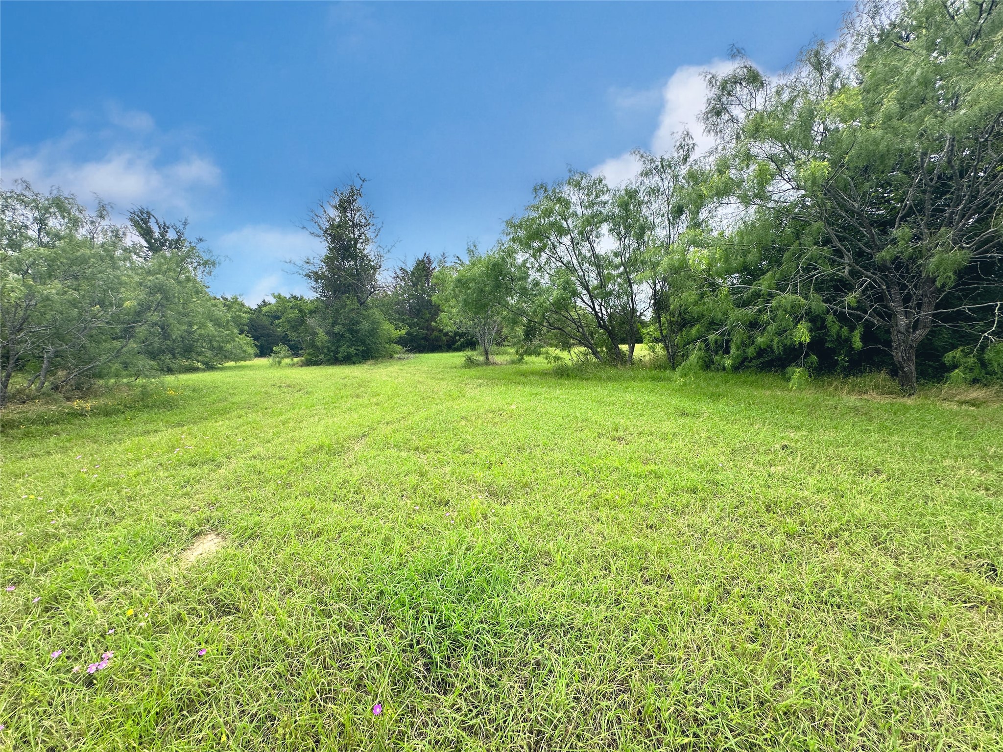 Lot 97 Fiddler Lane, Corsicana, TX, 75109