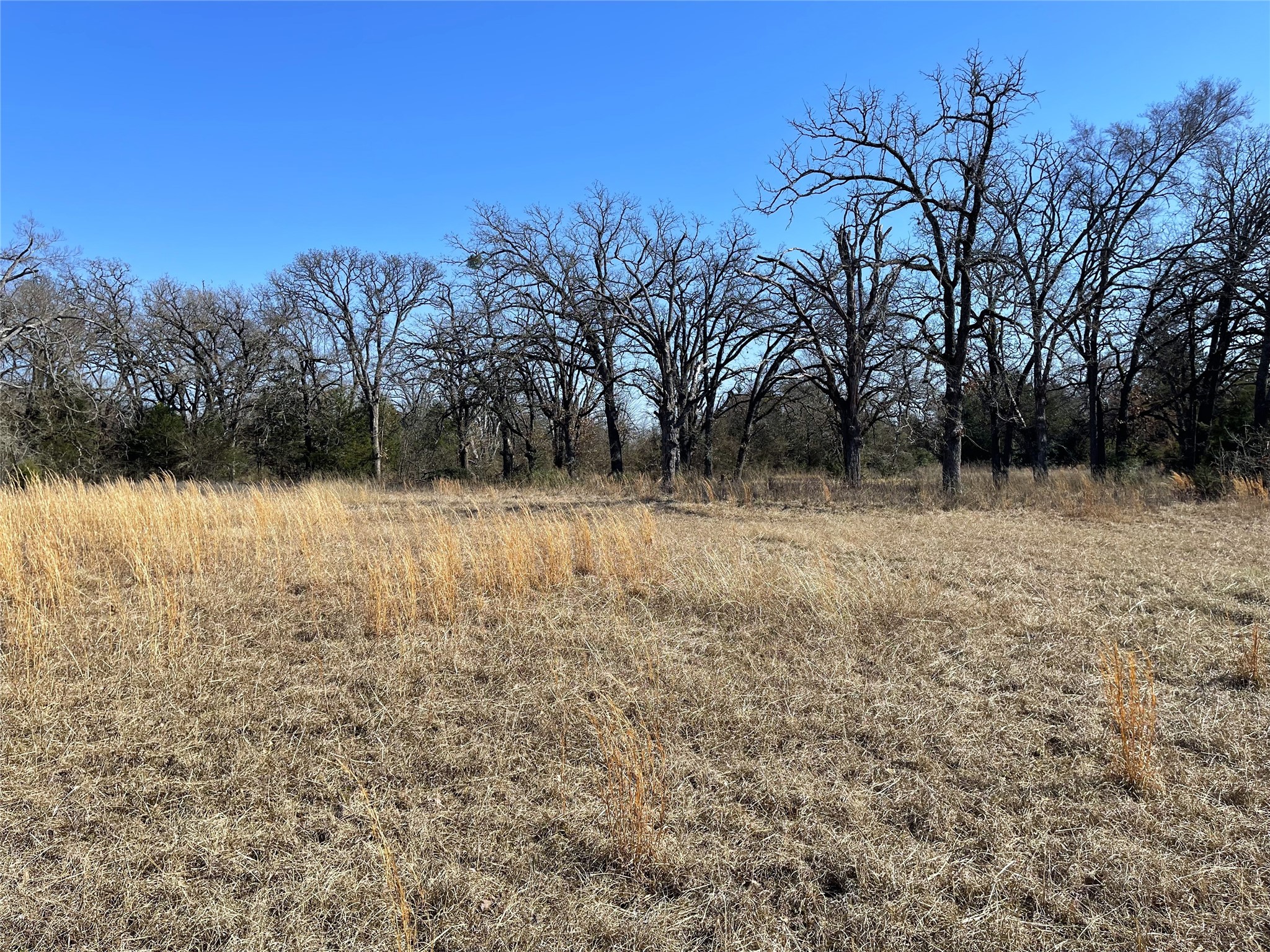 755 FCR 601, Teague, TX, 75860