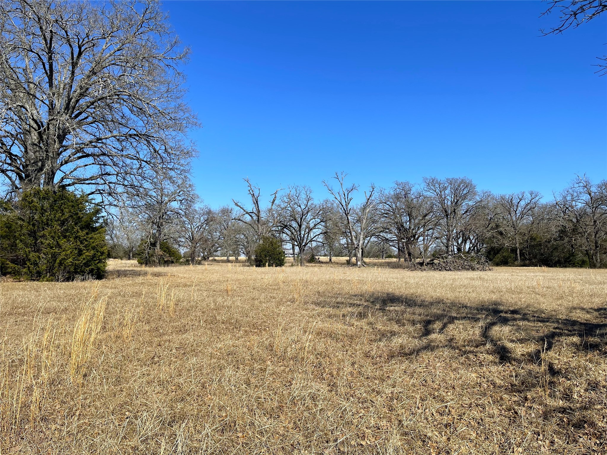 755 FCR 601, Teague, TX, 75860